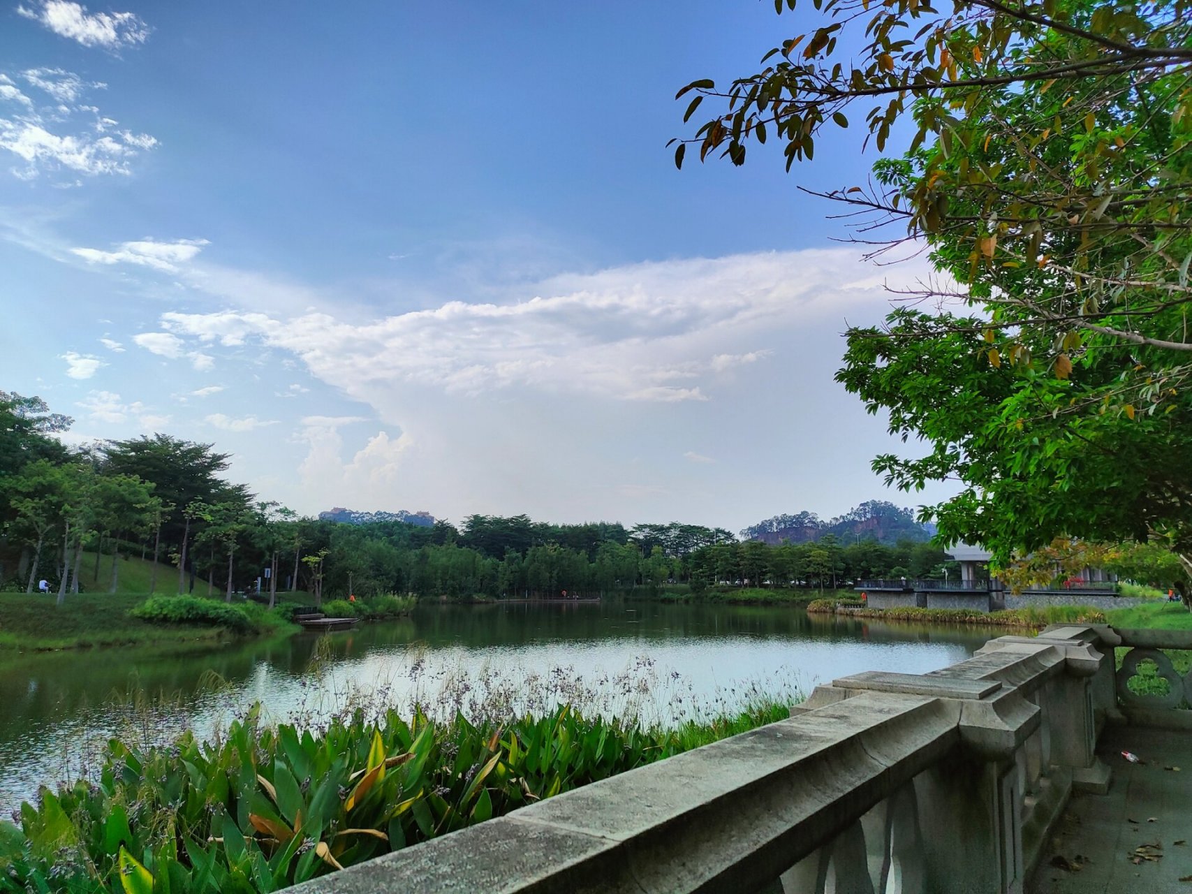 东莞常平常新公园   东部中心医院附近,东田丽园附近