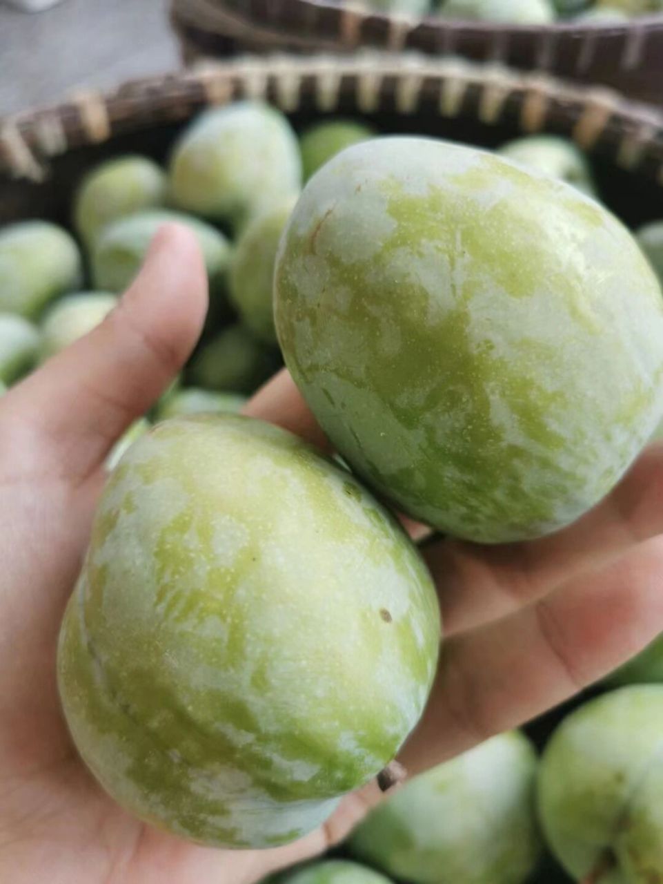 浦江桃形李系蔷薇科李属"中国李"中的一个品种 是金华市浦江县名特优