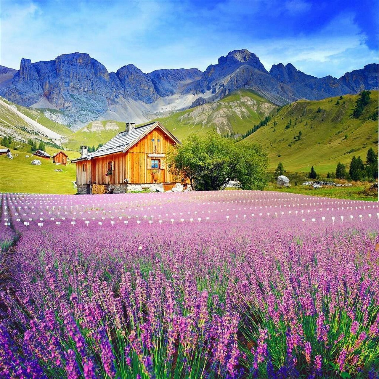 好看唯美的美景微信头像,喜欢就赶紧保存吧 好看唯美的美景微信头像