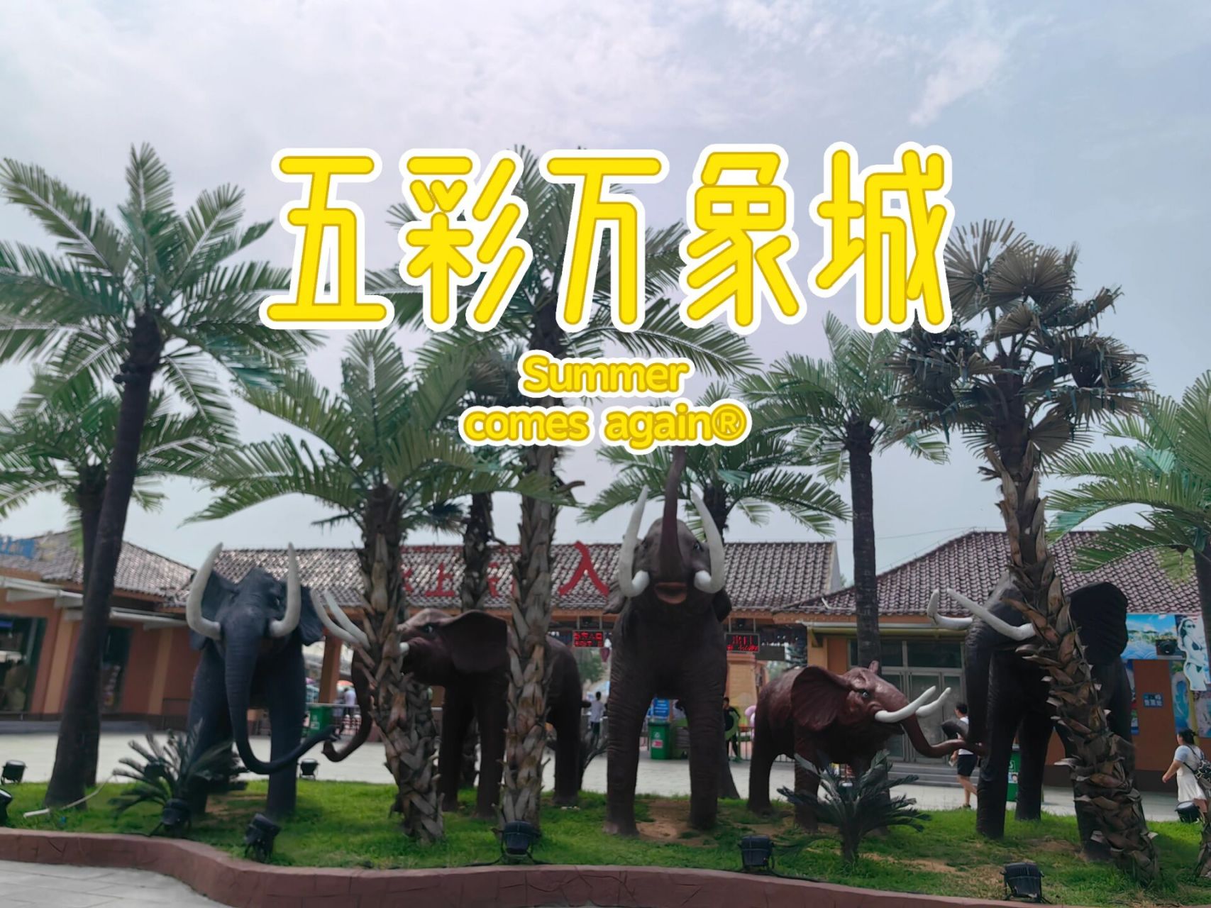 济宁五彩万象城水世界攻略       费用: 门票49.