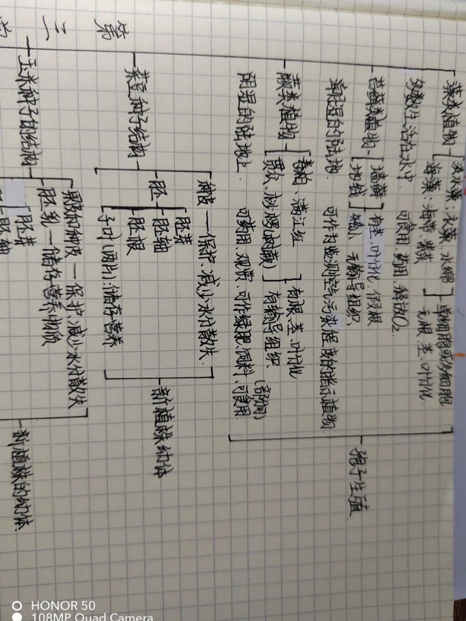 七上生物思维导图第三单元 (出到这里就没有了哟)