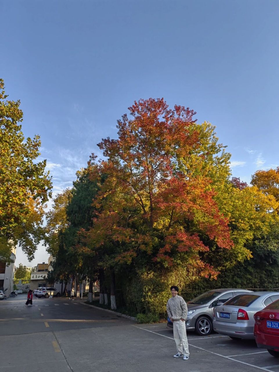 哈哈哈 秋天校园好美 河南师范大学校园秋景93 #河南师范大学