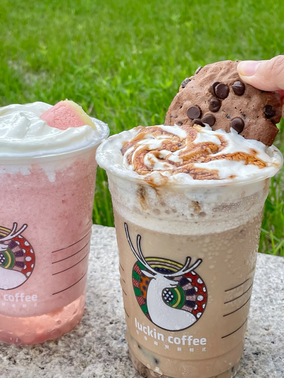 瑞幸瑞纳冰yyds06夏季超冰爽点单攻略来啦 瑞幸的瑞纳冰系列太适合