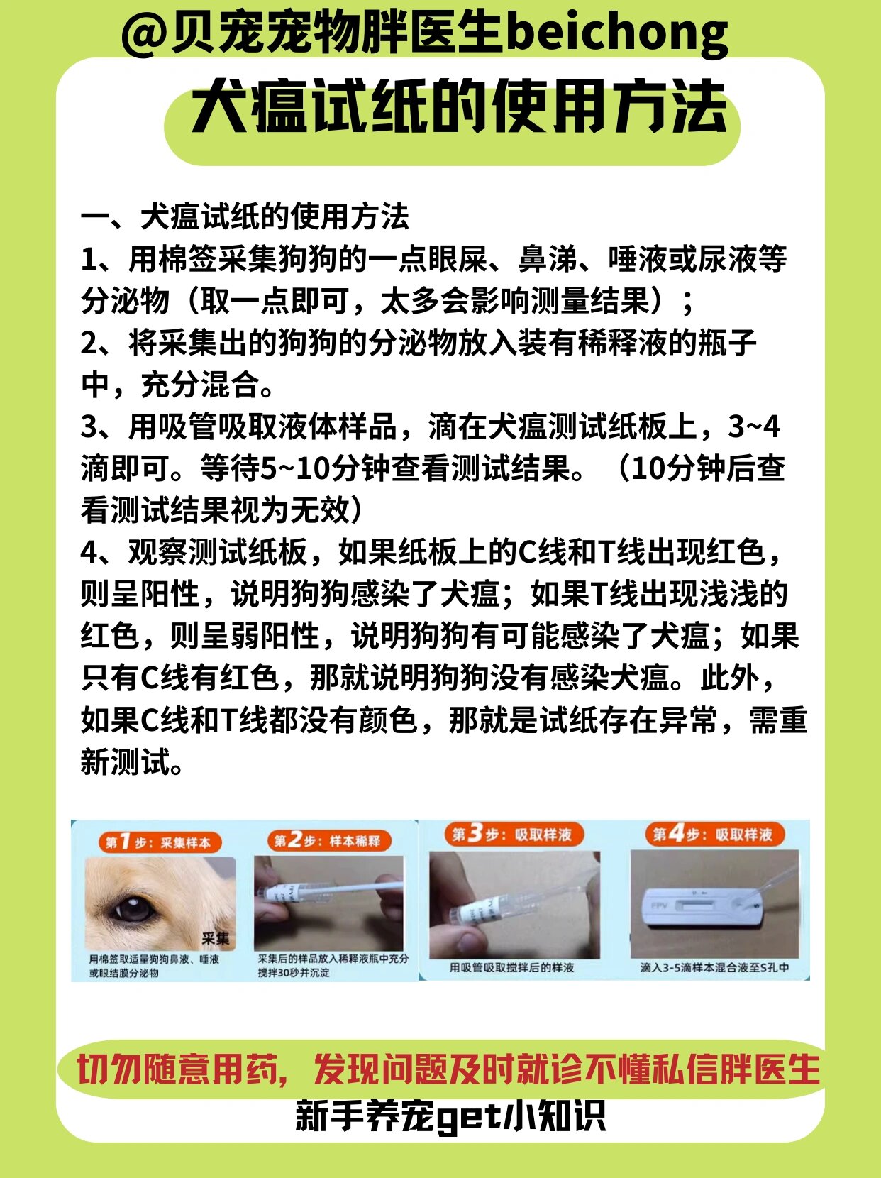 犬瘟的检测试纸使用方式与治疗方法
