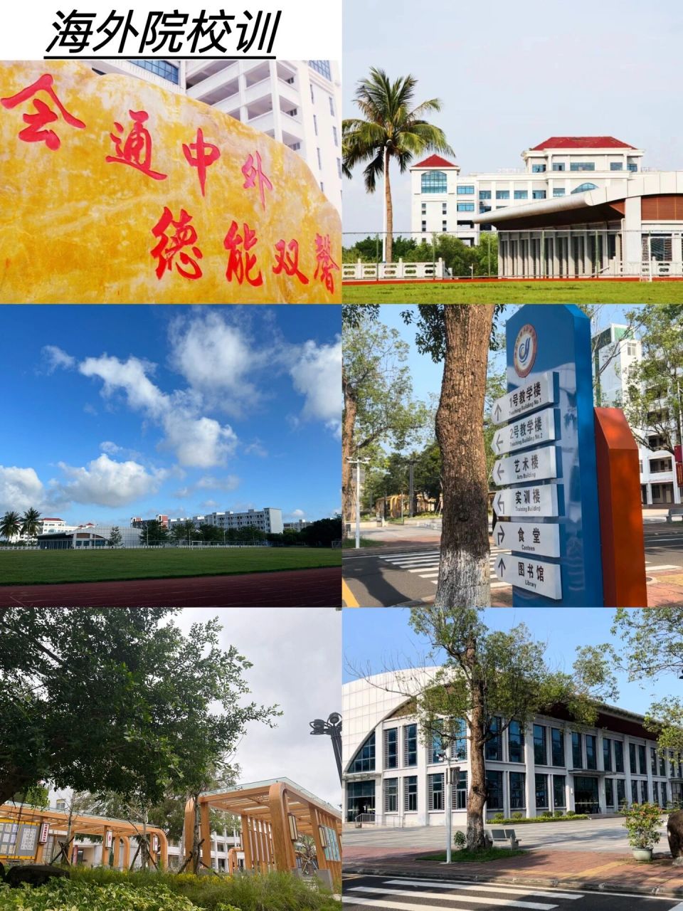 海南外国语职业学院 欢迎939393