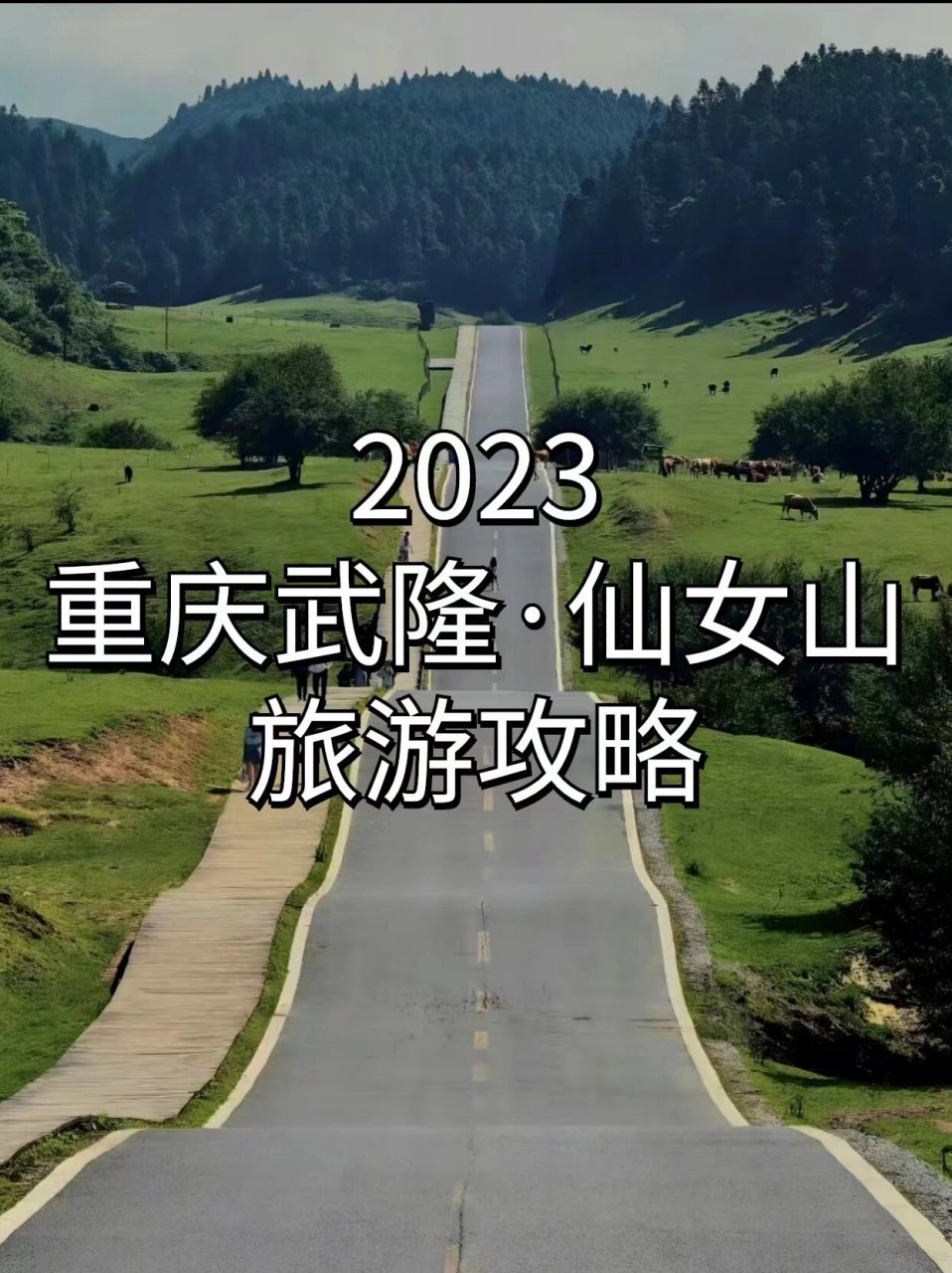 重庆周边天生三桥武隆仙女山2日游攻略往下看!