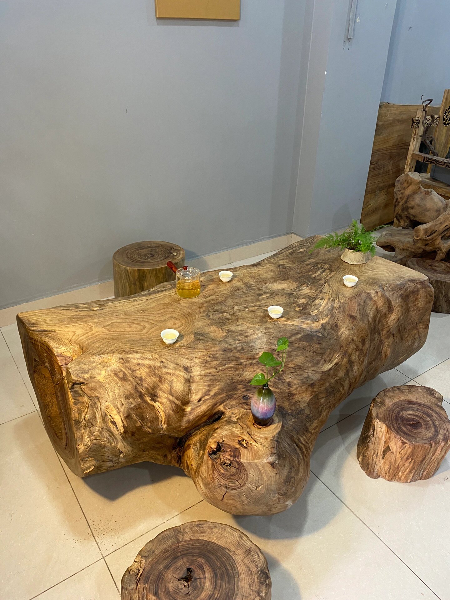 自然空心风化,香樟木树桩茶台