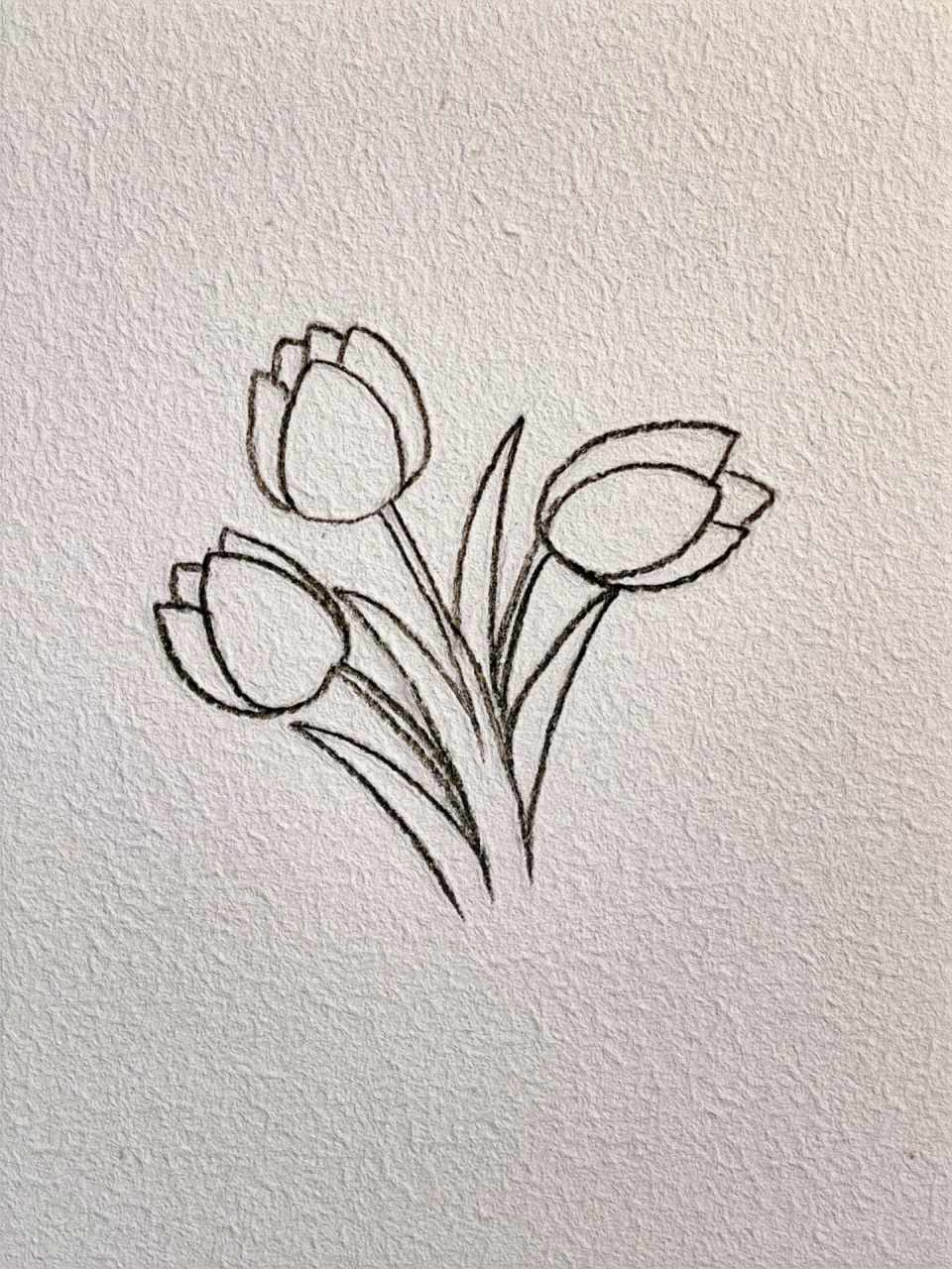 郁金香简笔画 世间荒芜,浪漫不死93 郁金香的四种画法