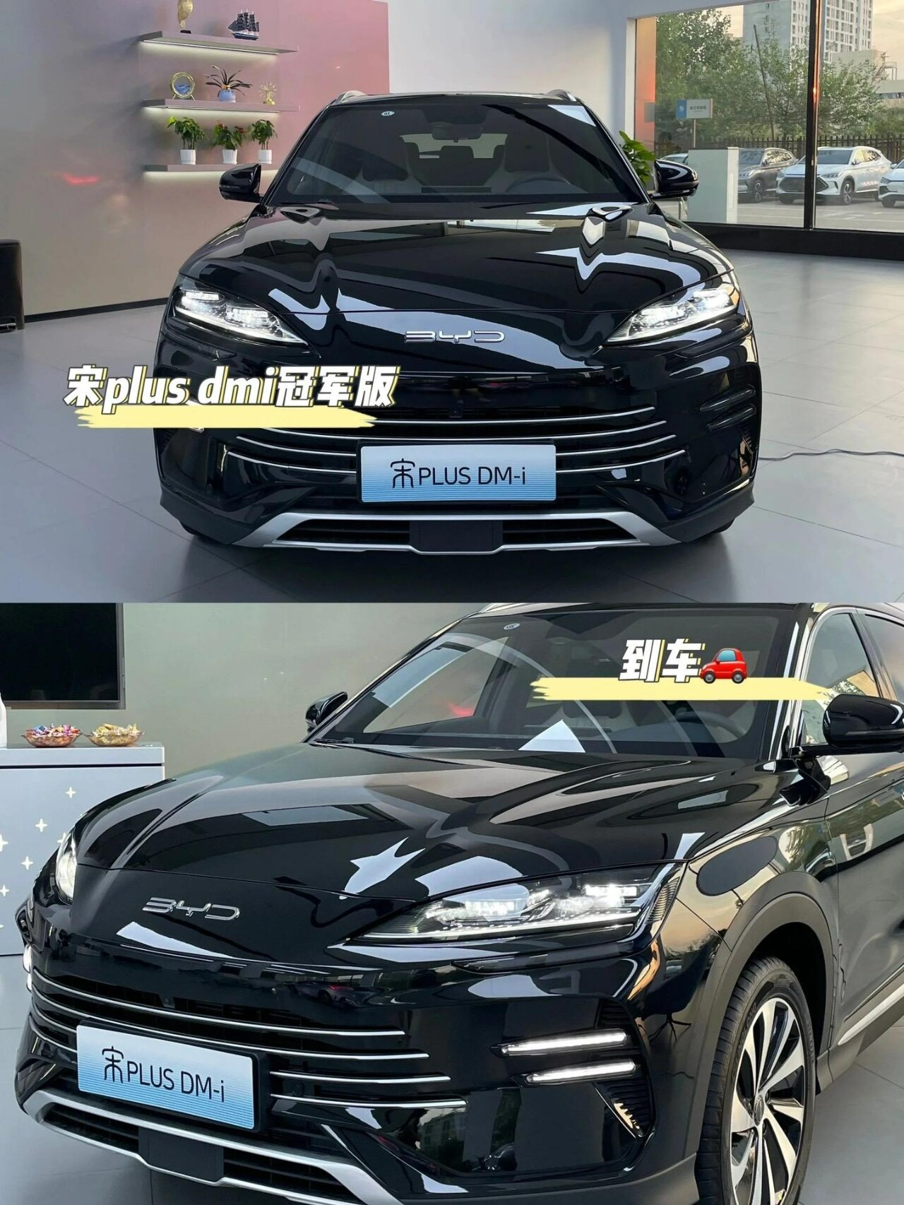 宋plus dmi冠军版(黑武士))