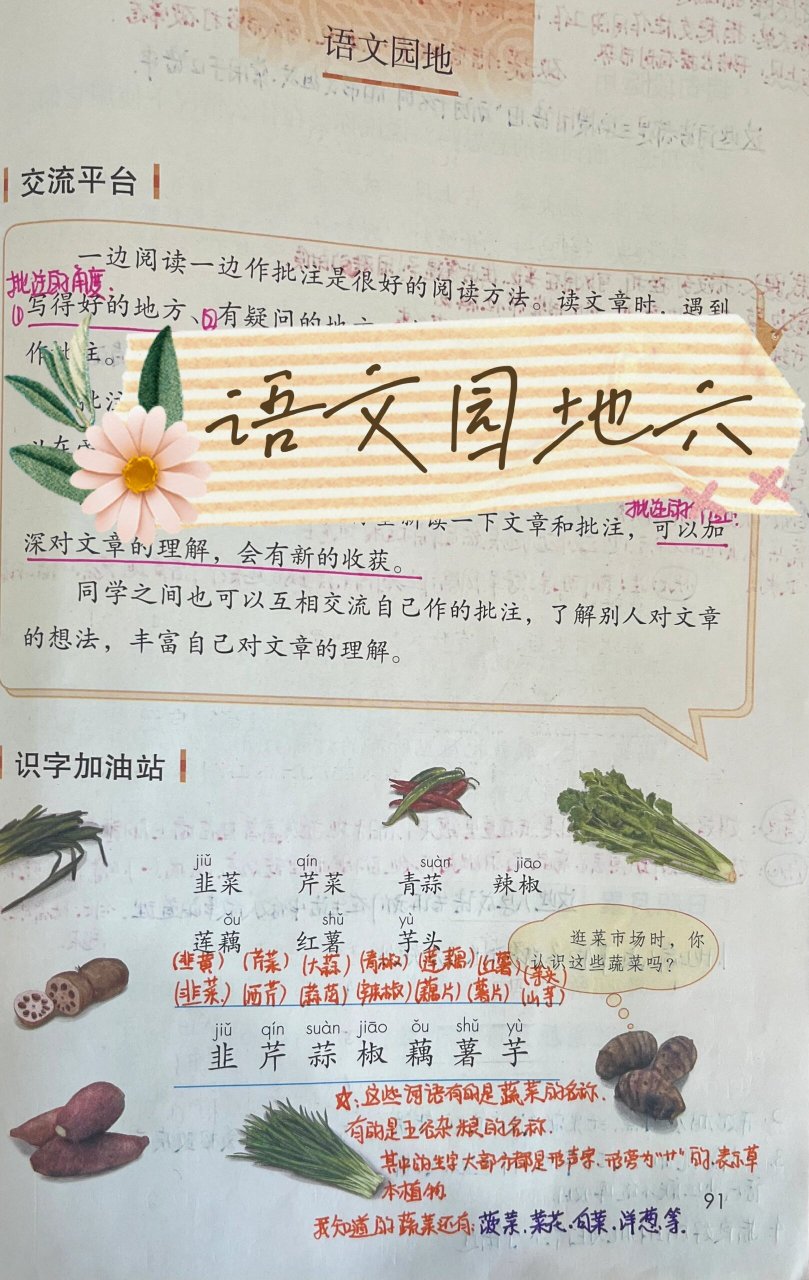 人教版四年级上册语文《语文园地六》    更新