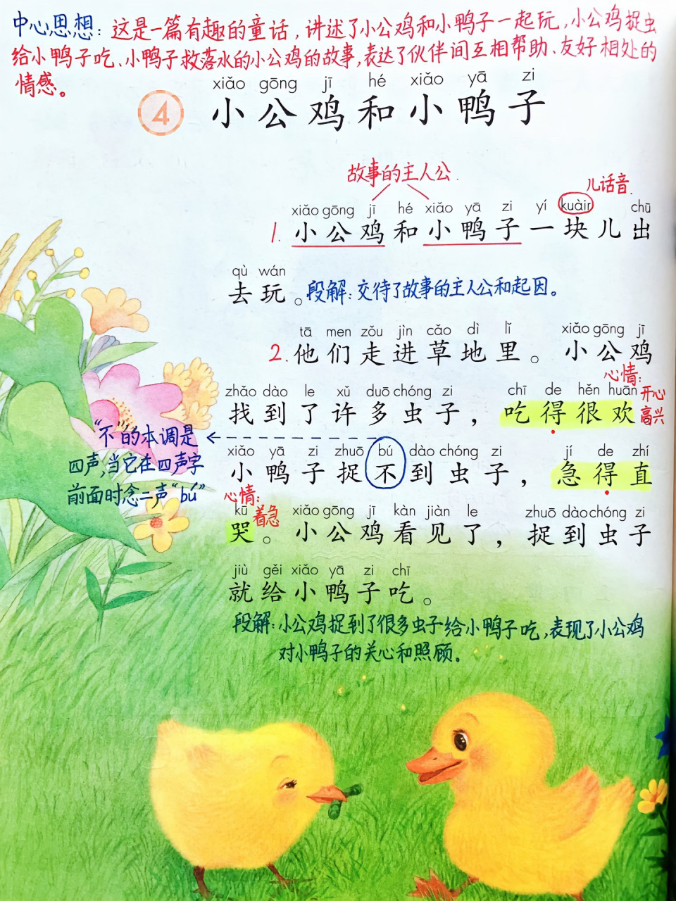 小公鸡和小鸭子 课文图片