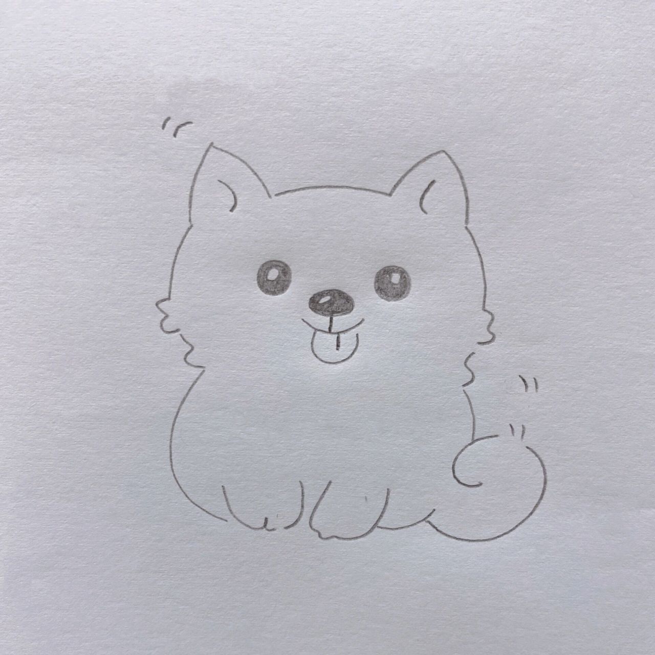 画可爱的小狗 简笔画图片