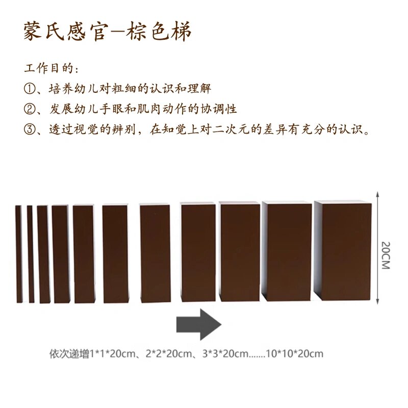 蒙氏棕色梯目的图片