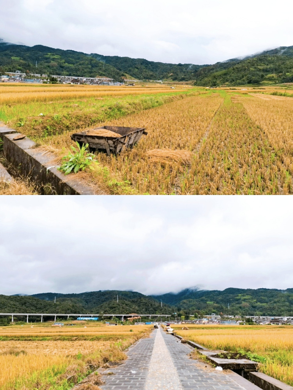 96户撒位于云南省德宏州陇川县西北,是高原盆地,海拔1380～1500米