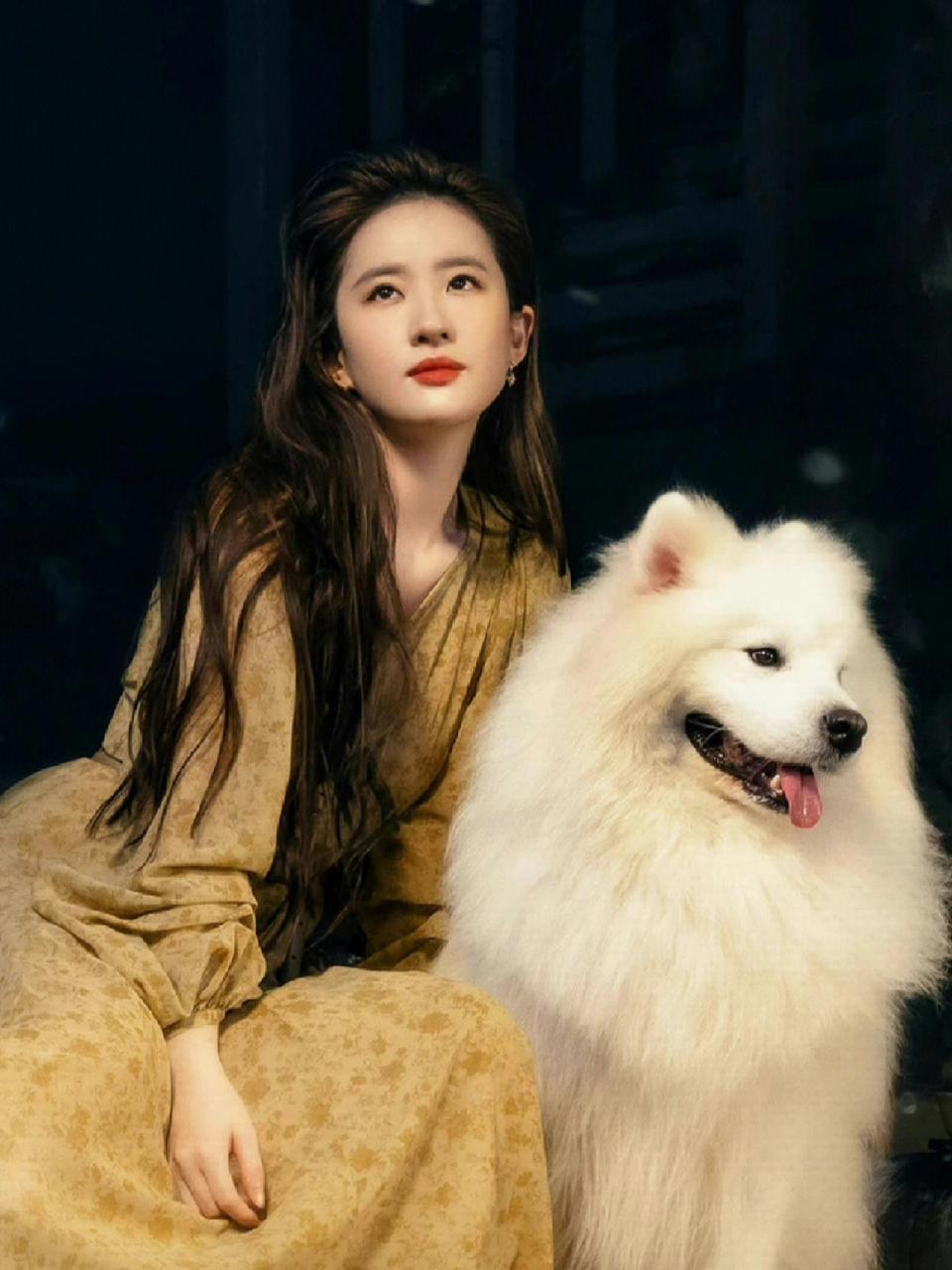 太太太美啦! 刘亦菲高清壁纸来啦!太太太美啦!