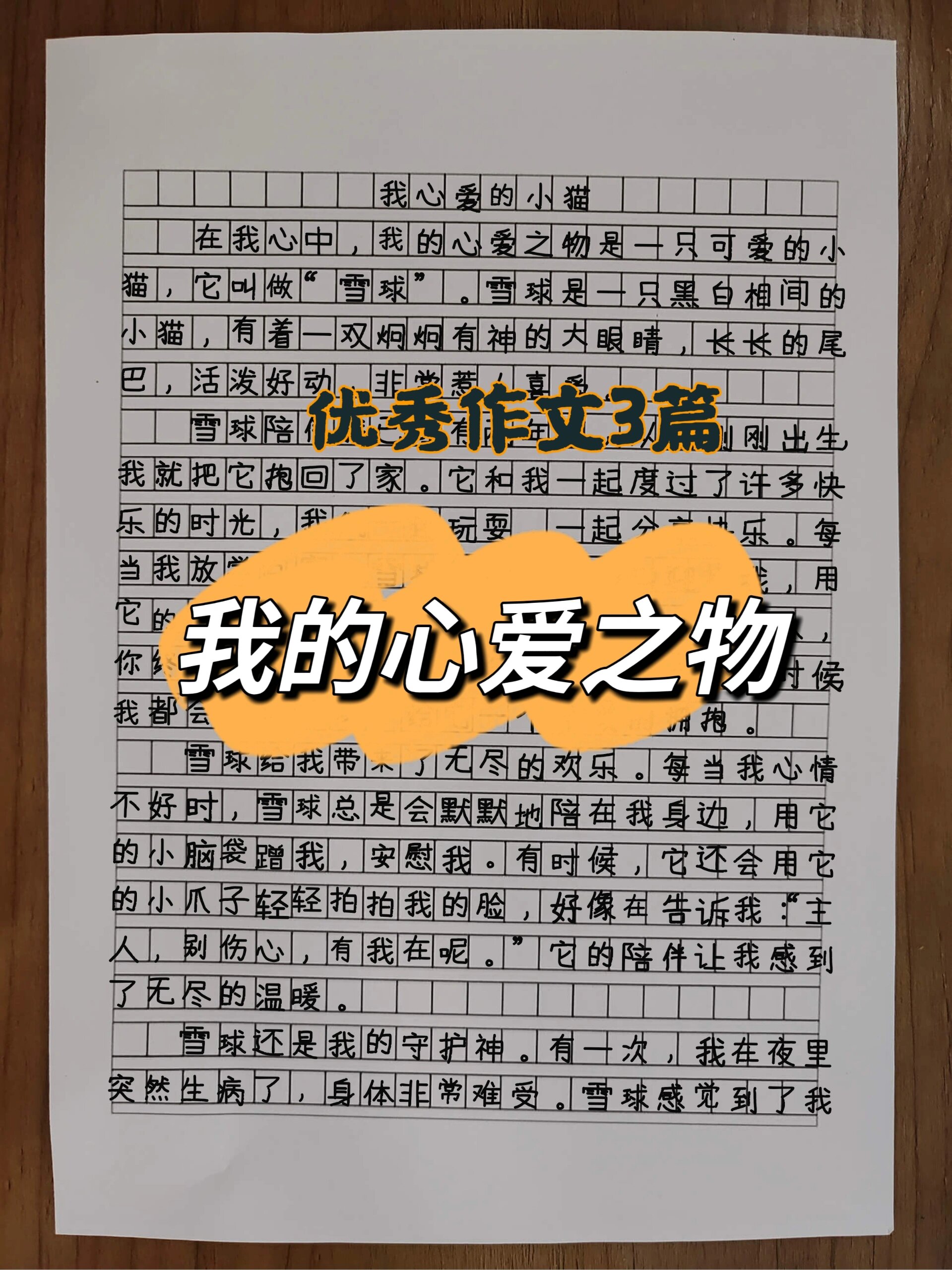 400字以上 五年级上册第一单元作文我的心爱之物#满分作文# #小学作文