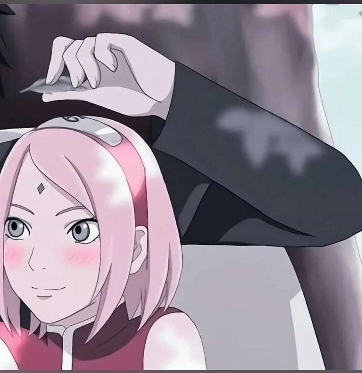 佐樱情头 来了 不进的后悔啊