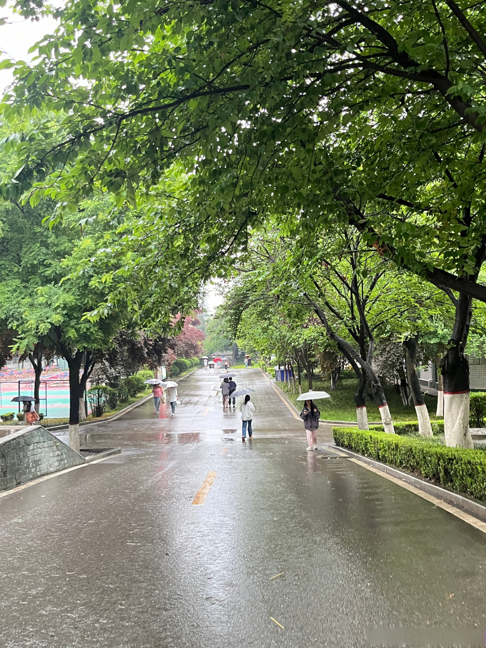 你好,常宁大街888号 雨后的校园,宛如一座梦幻的城堡.