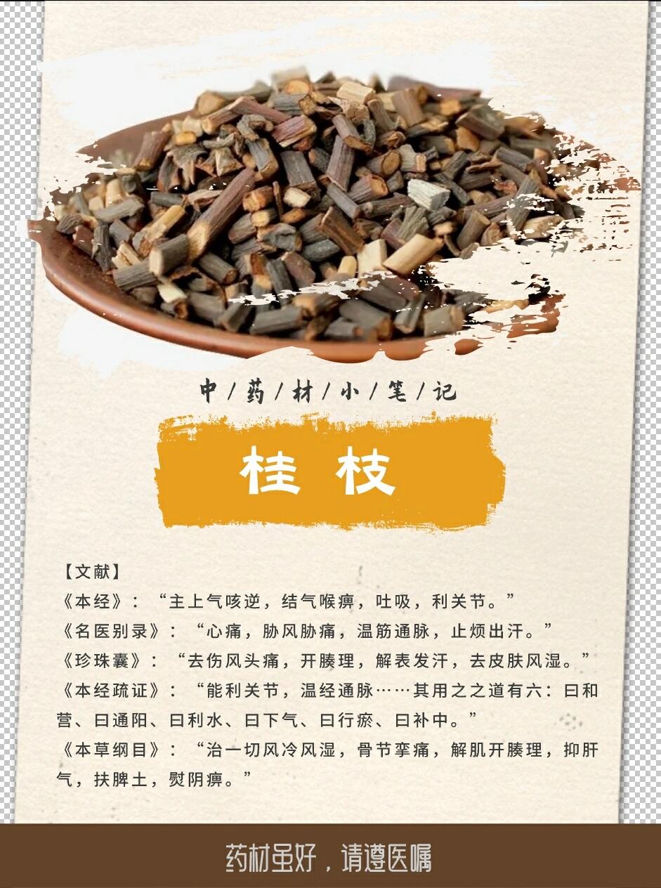 桂枝的前世今生 【中药名】桂枝 【别名】桂尖,桂枝尖,嫩桂枝,柳桂.
