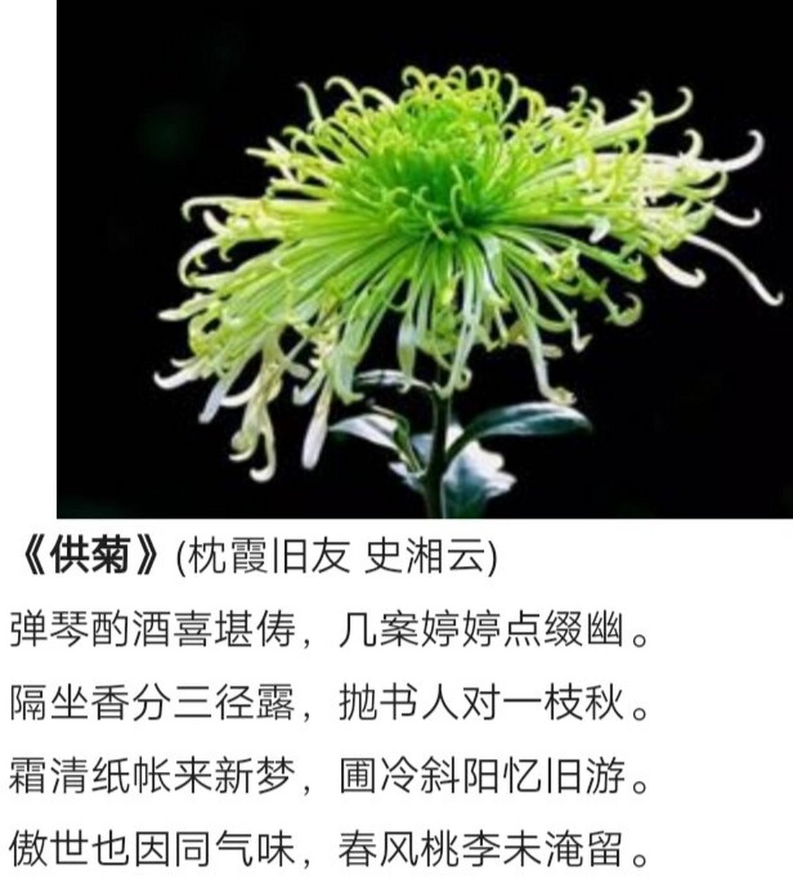 《红楼梦》菊花诗十二首‖欣赏(一)
