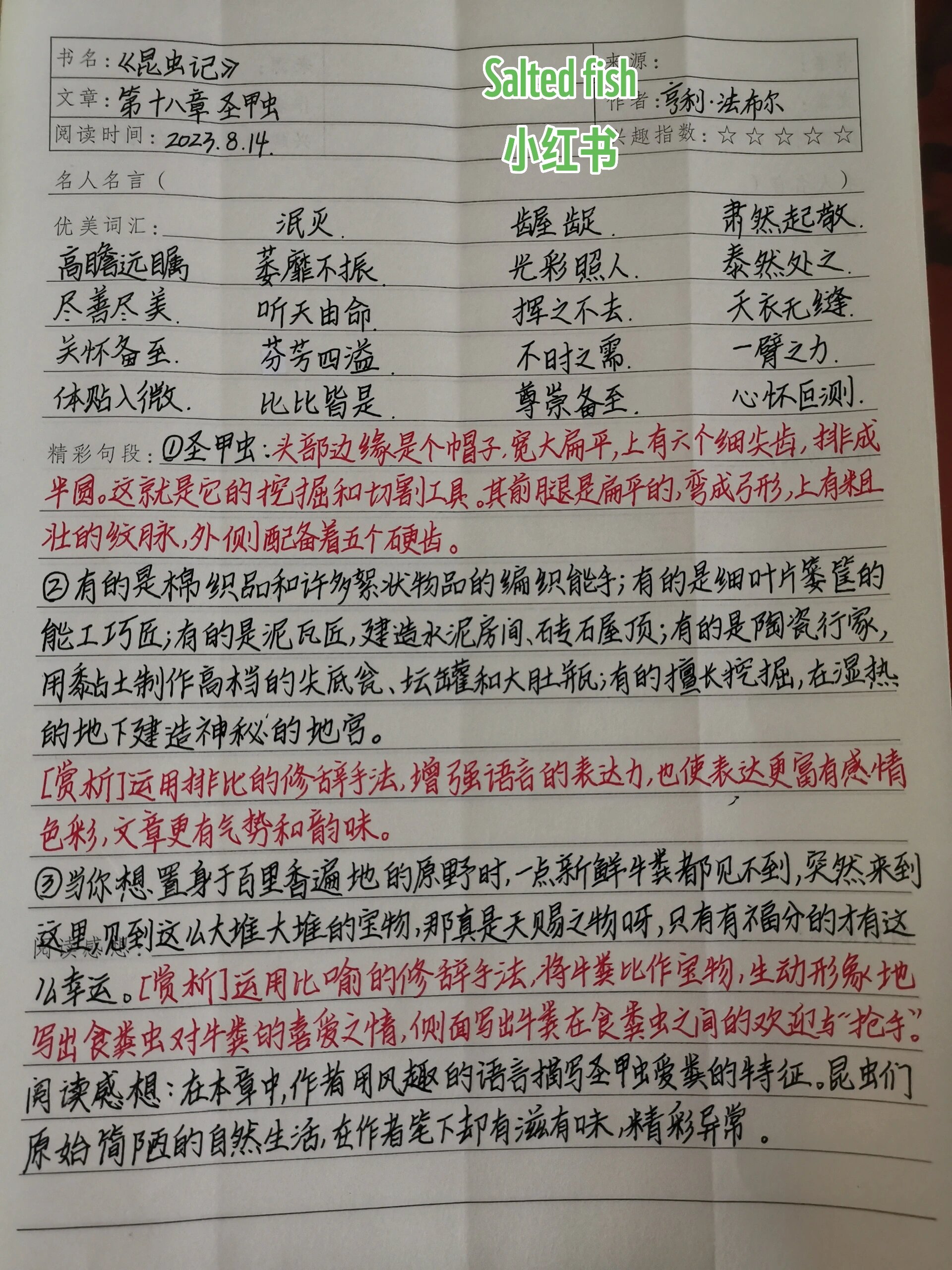 昆虫记圣甲虫住所图片