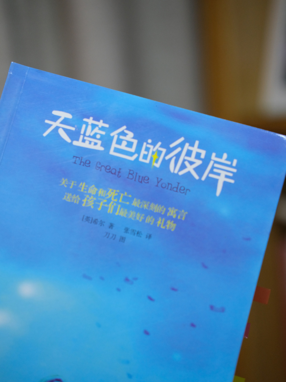 最治愈的死亡 最深刻的寓言|天蓝色的彼岸 98《天蓝色的彼岸》 73