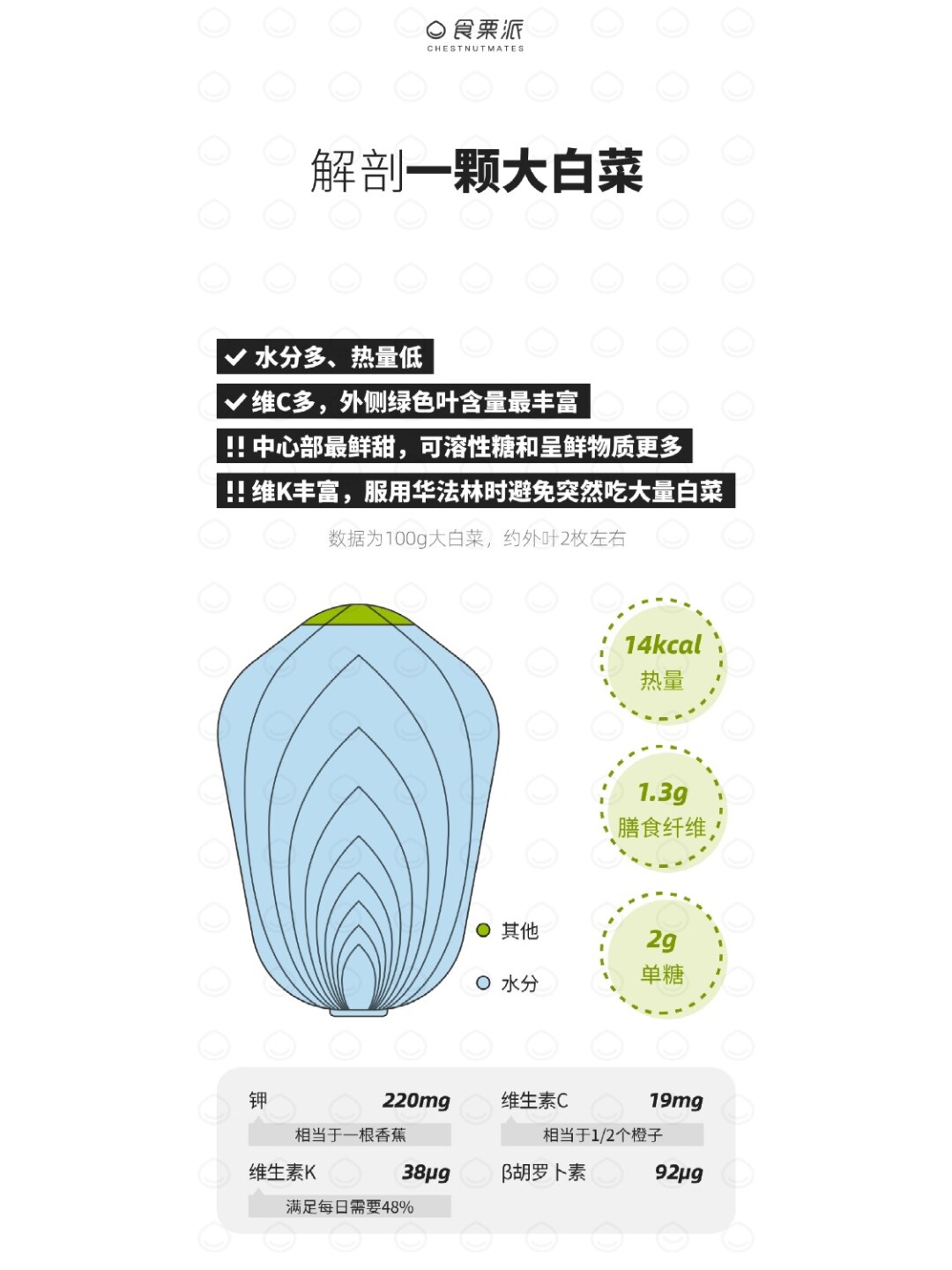 白菜解剖图图片