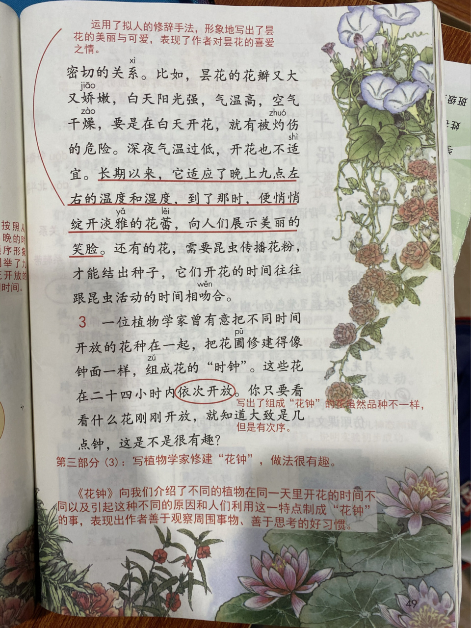 三年级下册语文13花钟 48,49,50页