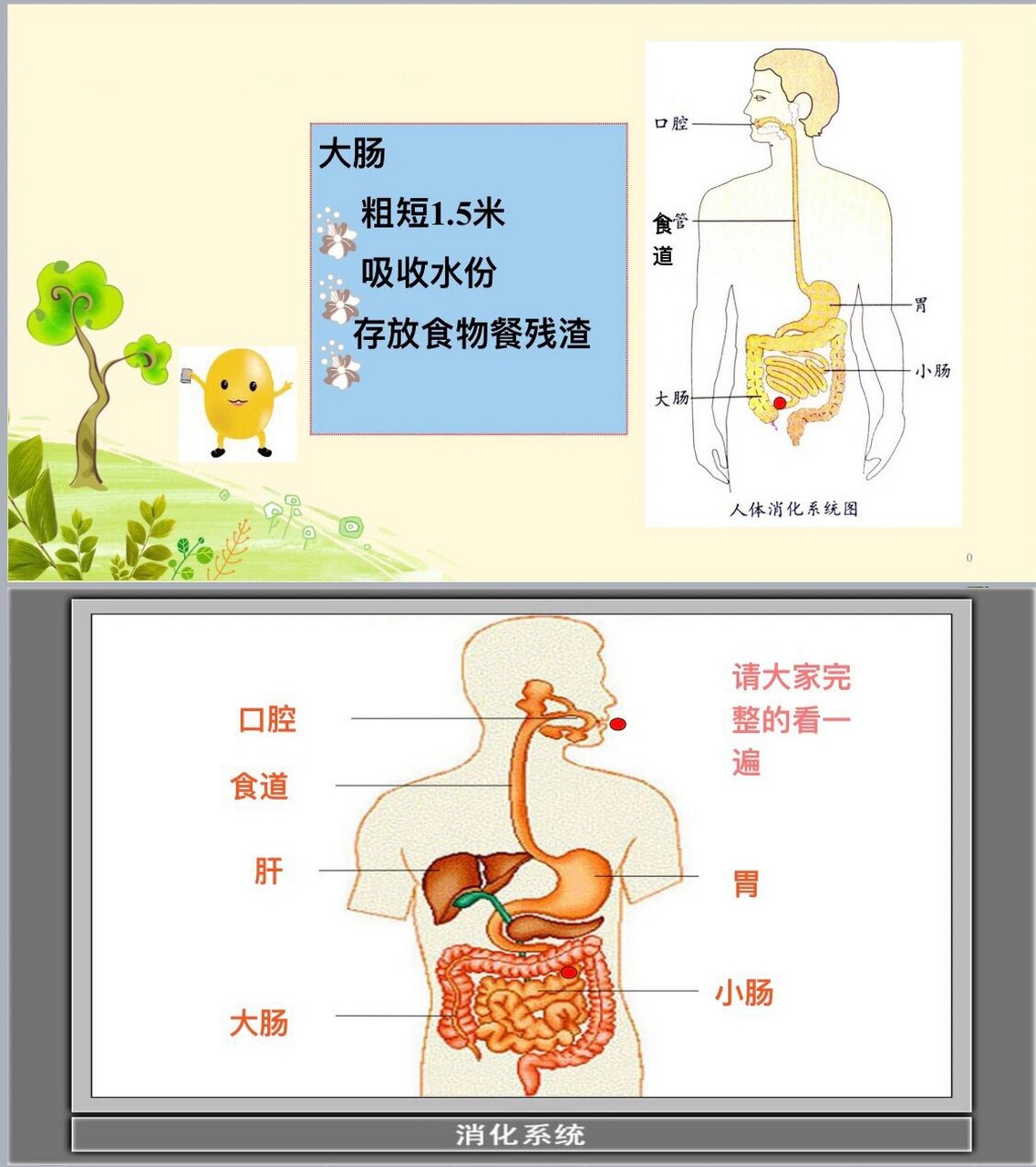 幼师必备|幼儿园公开课《食物旅行记》 92大班健康:食物旅行记 92