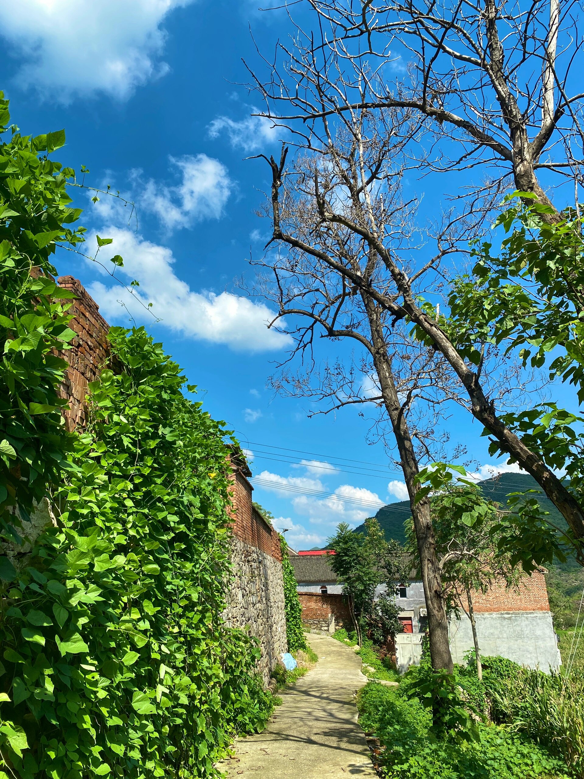 马兰村61太行山乡|河南林州五龙镇马兰村 难得安静,孩子们很认真,我