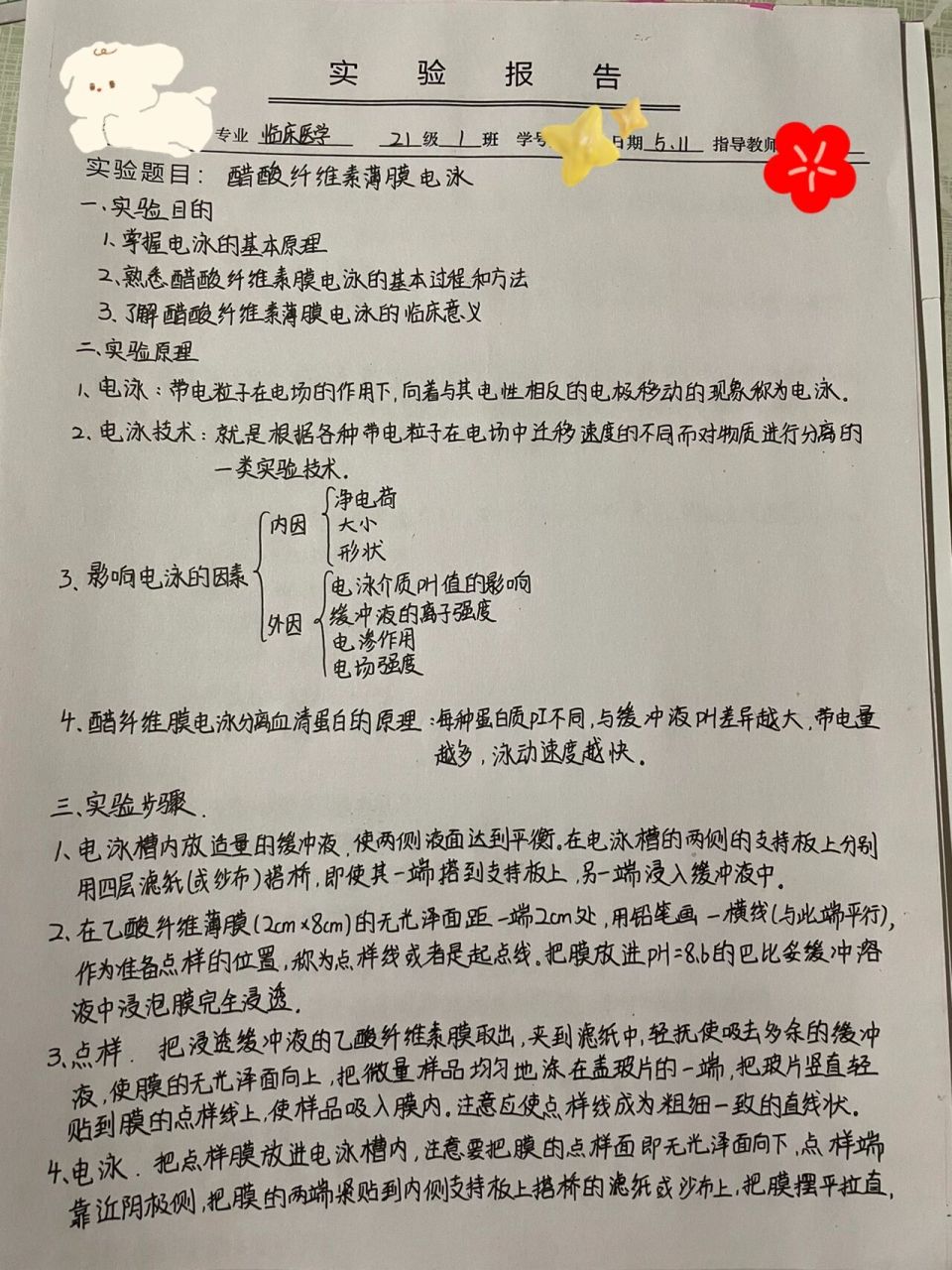醋酸纤维素薄膜电泳实验报告 又又又是一次实验报告,好久没有发实验