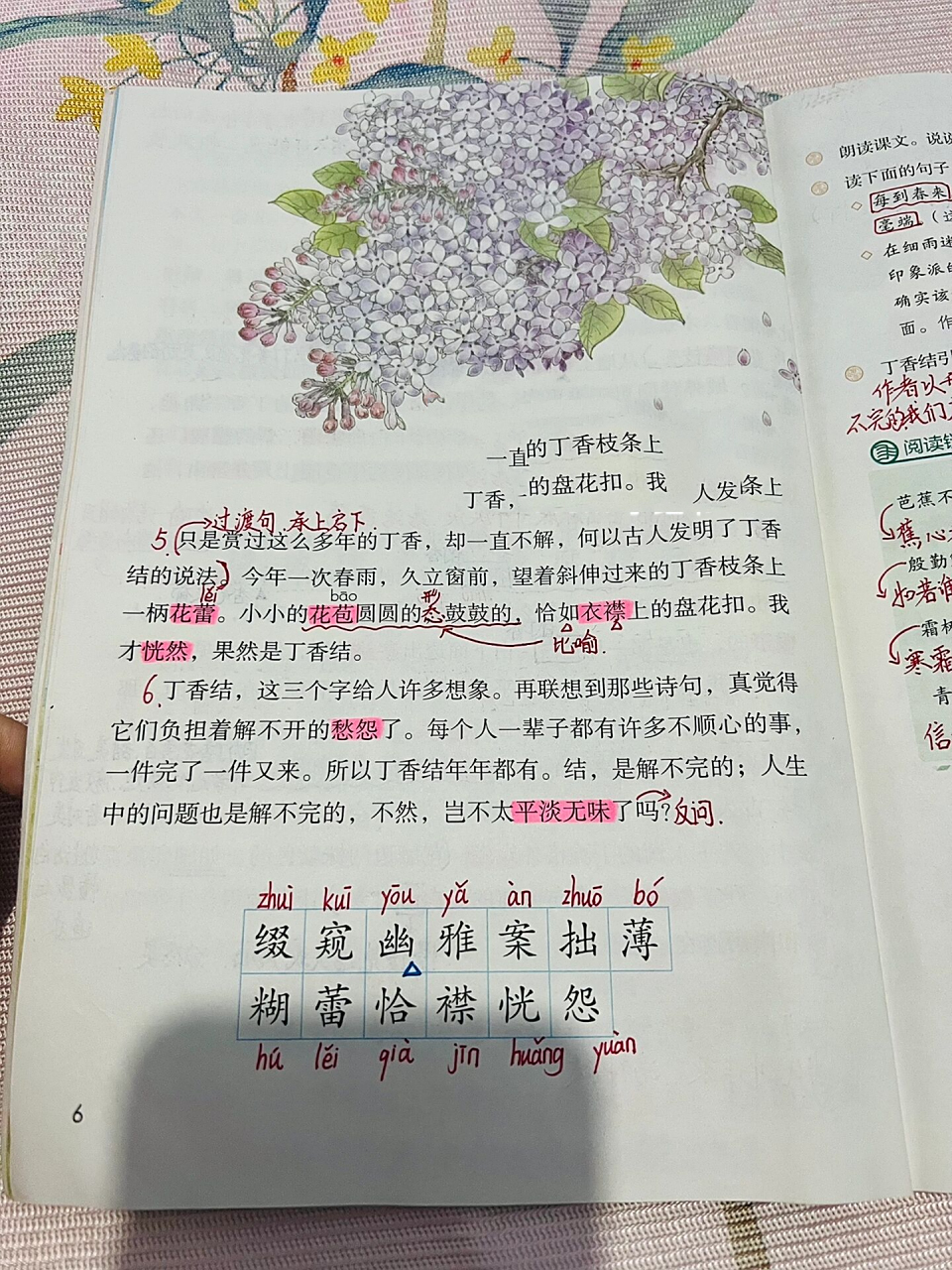 六年级上册语文2《丁香结》课堂笔记