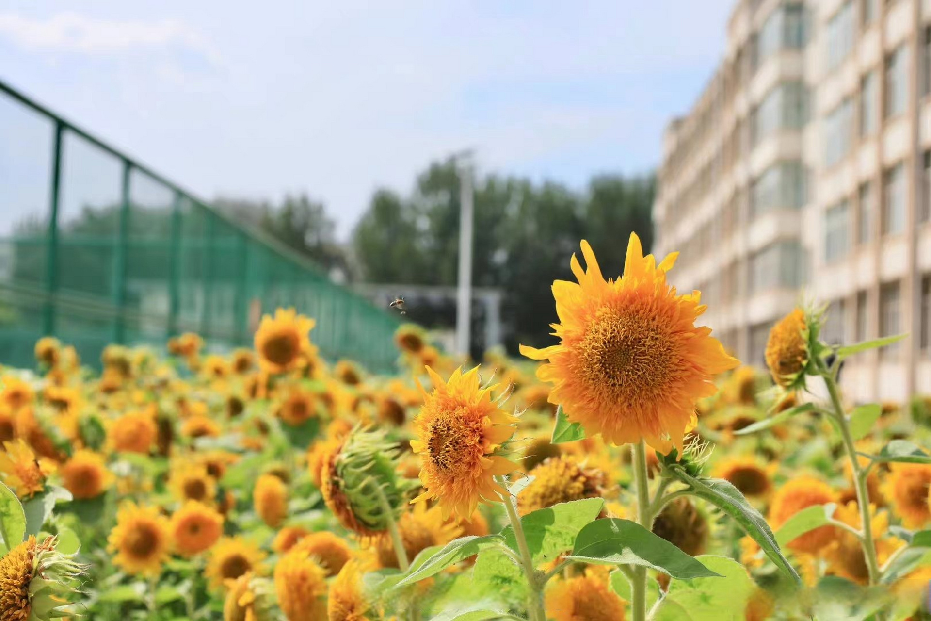 只要来日可期,今天就值得欣喜 早安~[太阳]#早安团青# 内蒙古科技大学