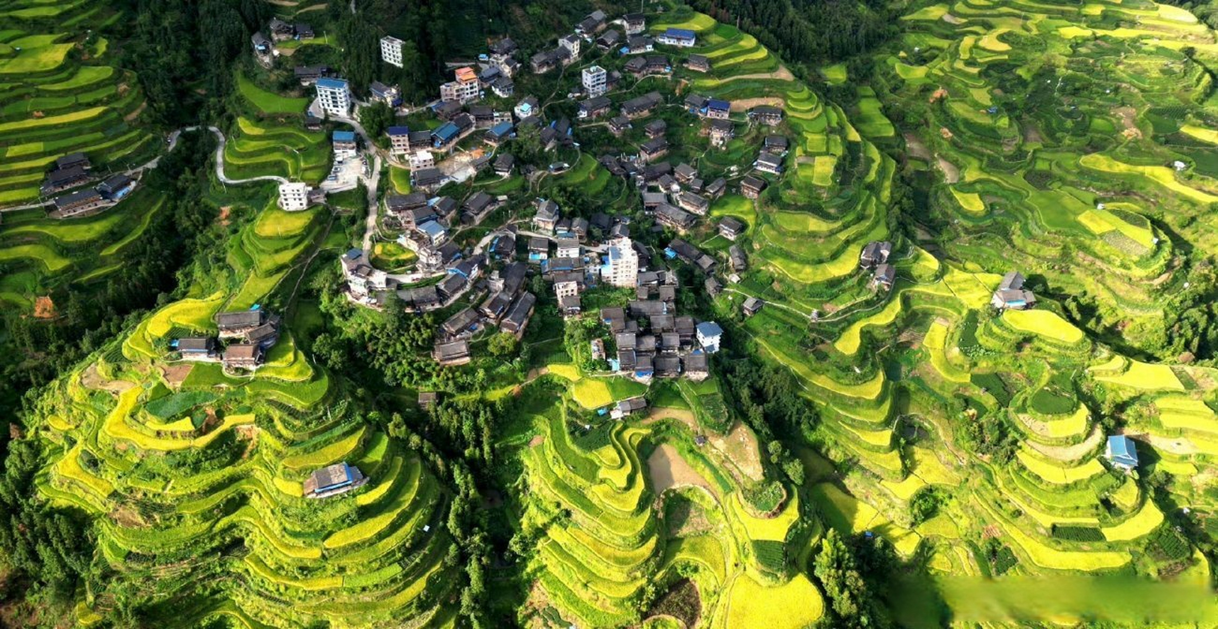 南小团##广西梯田一眼治愈强迫症# 秋色正浓,广西三江县独峒镇的高山