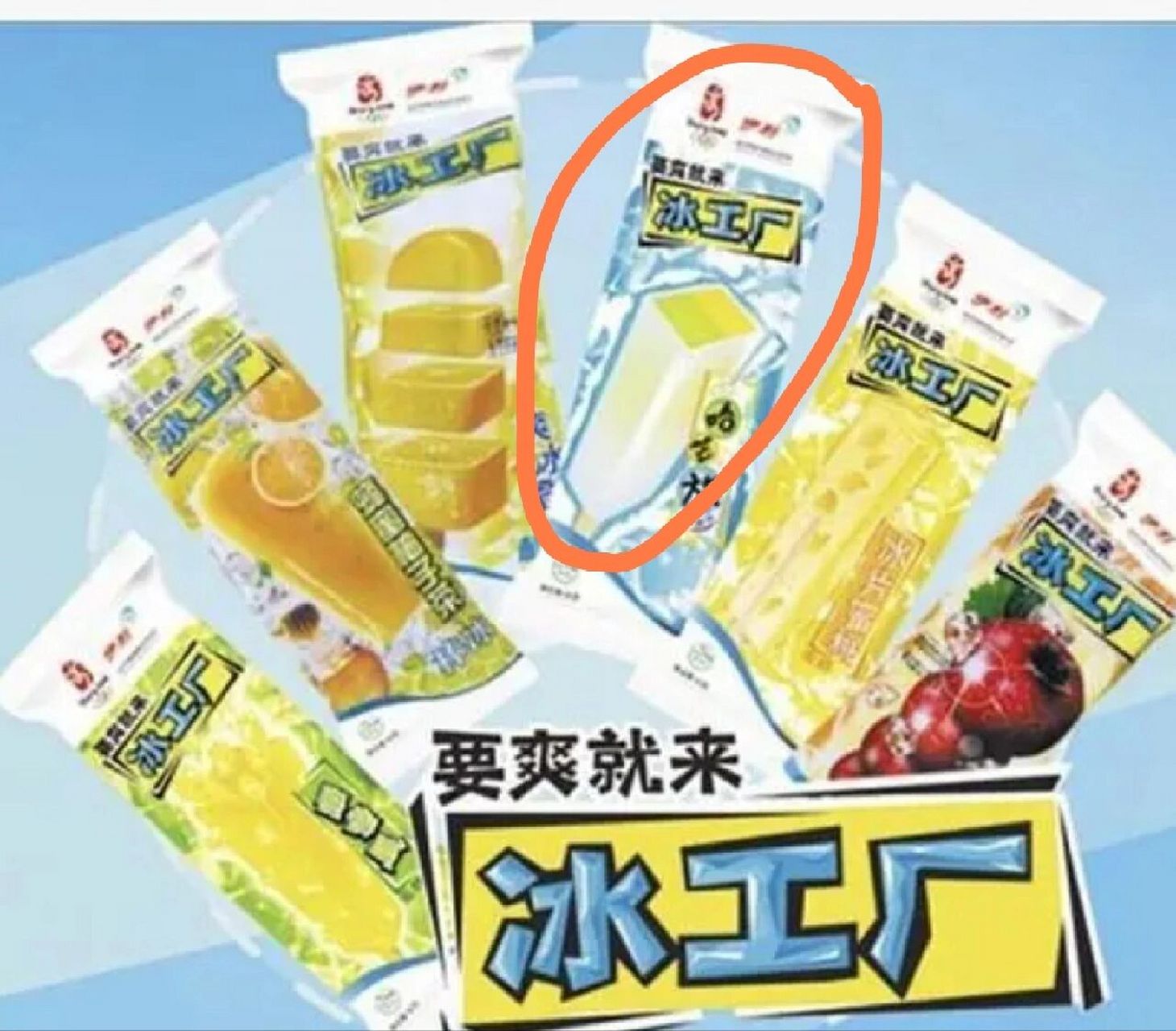 真的好吃,还便宜