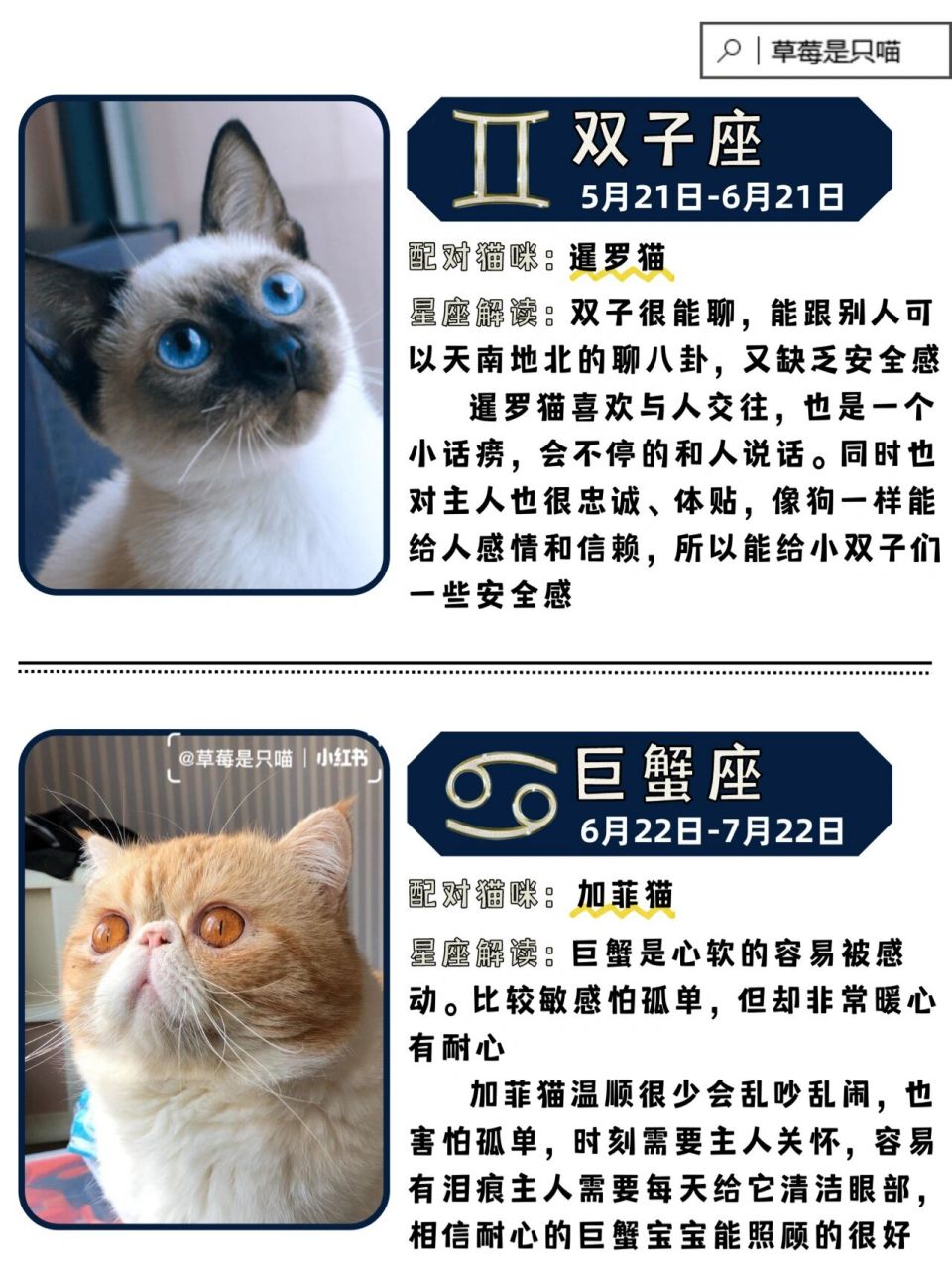 准铲93官看过来[并不简单]养猫玄学也是蛮准的8915 白羊座 3月