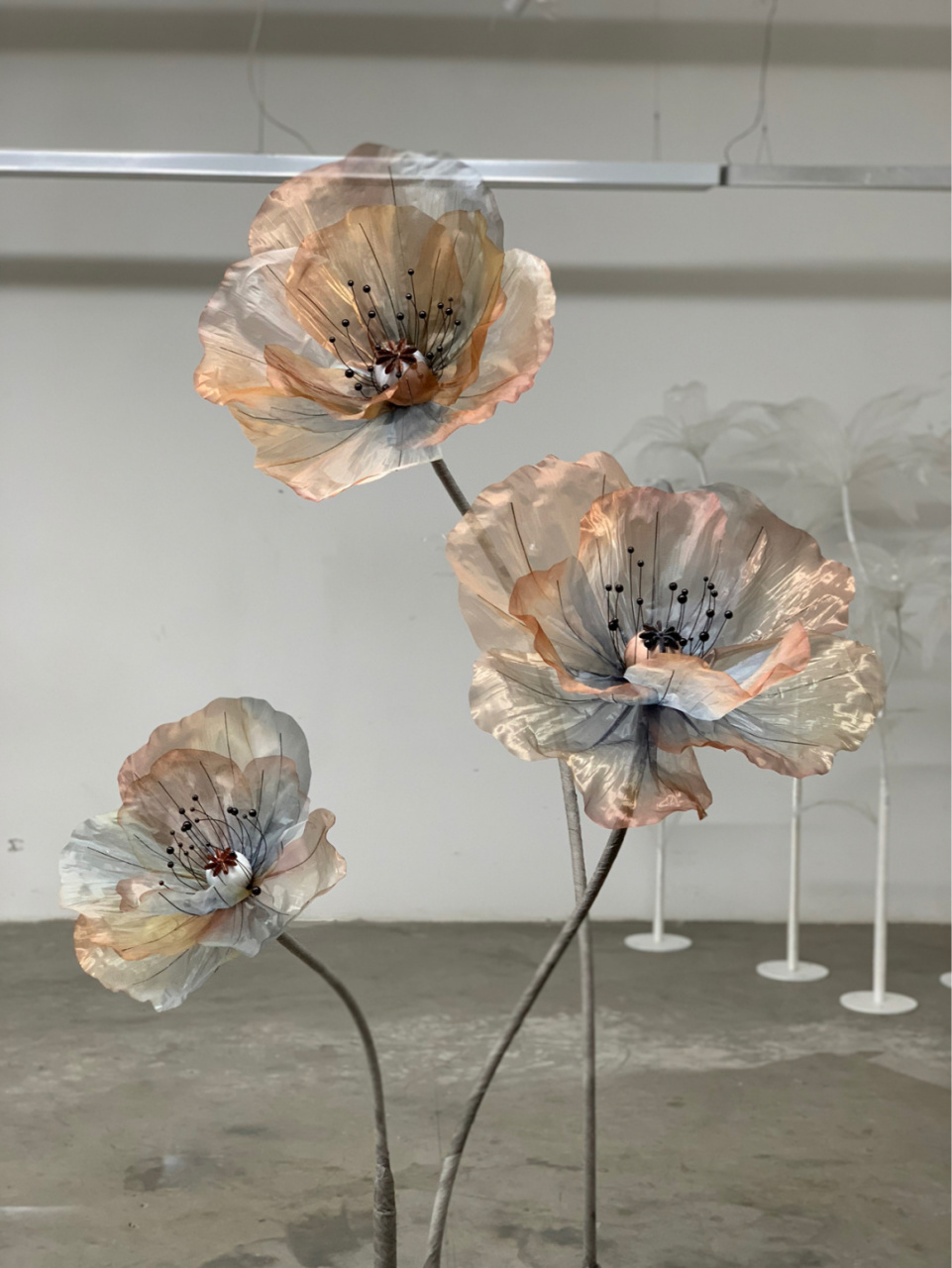 罂粟花太美了7515 #手工