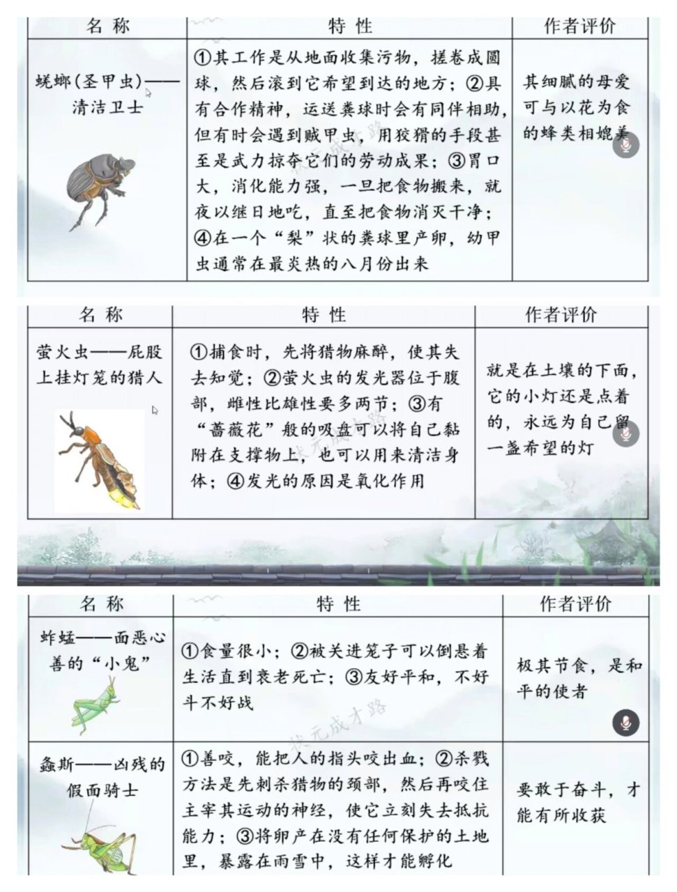 昆虫的名字大全图片