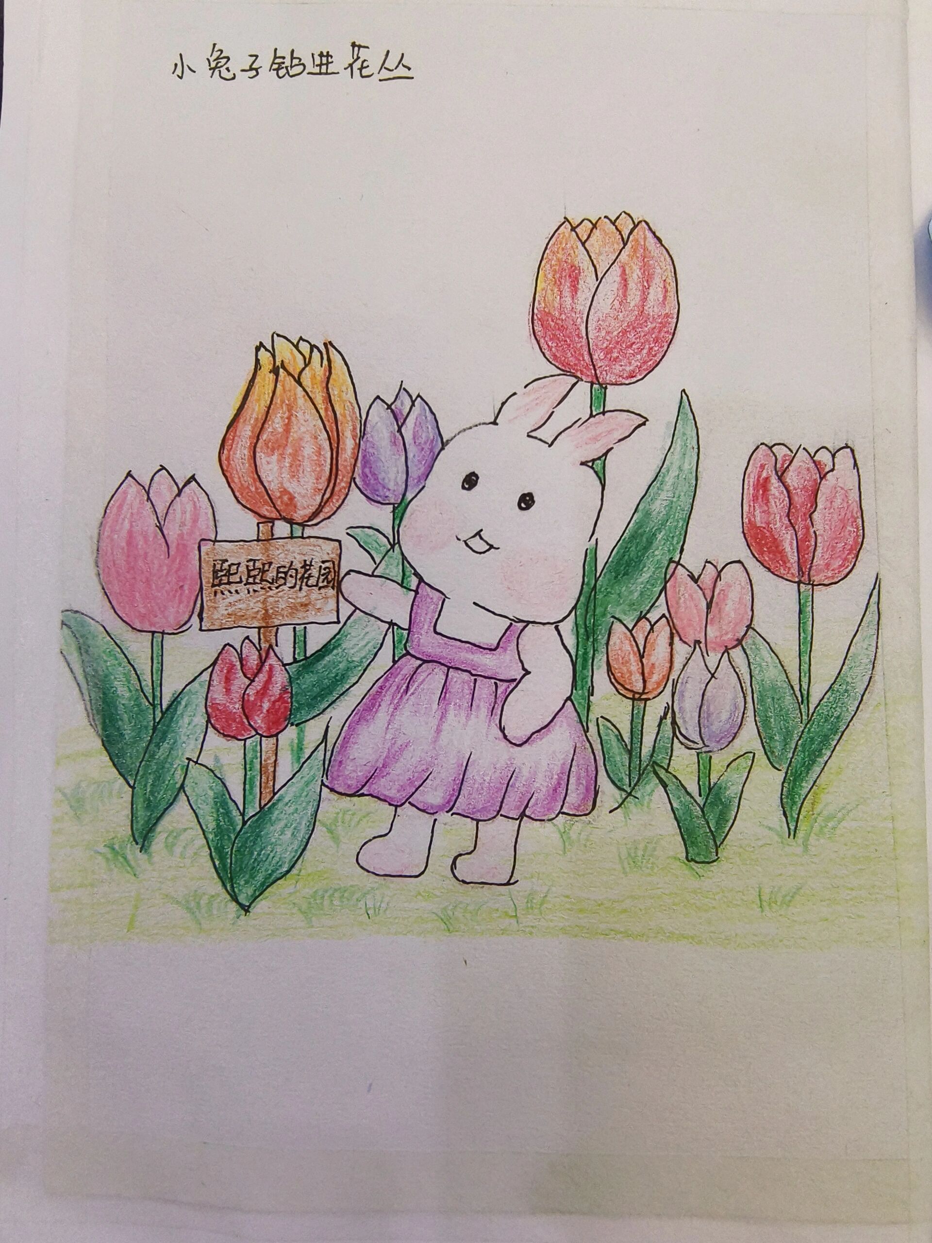 幼儿园自制绘本