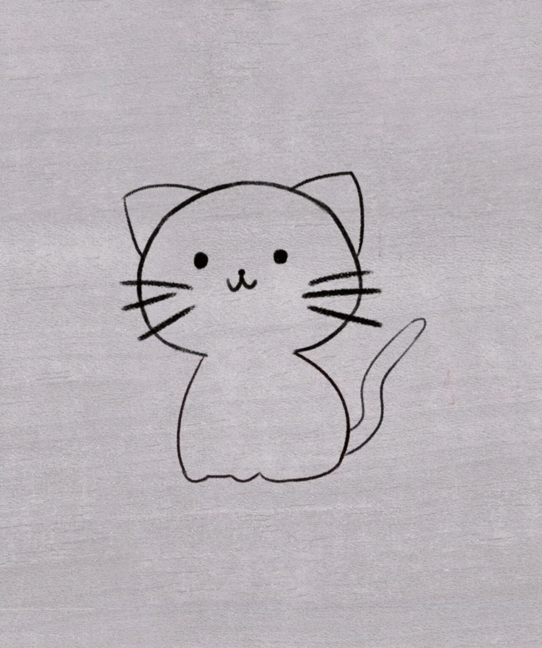 如何画一只猫真实图片