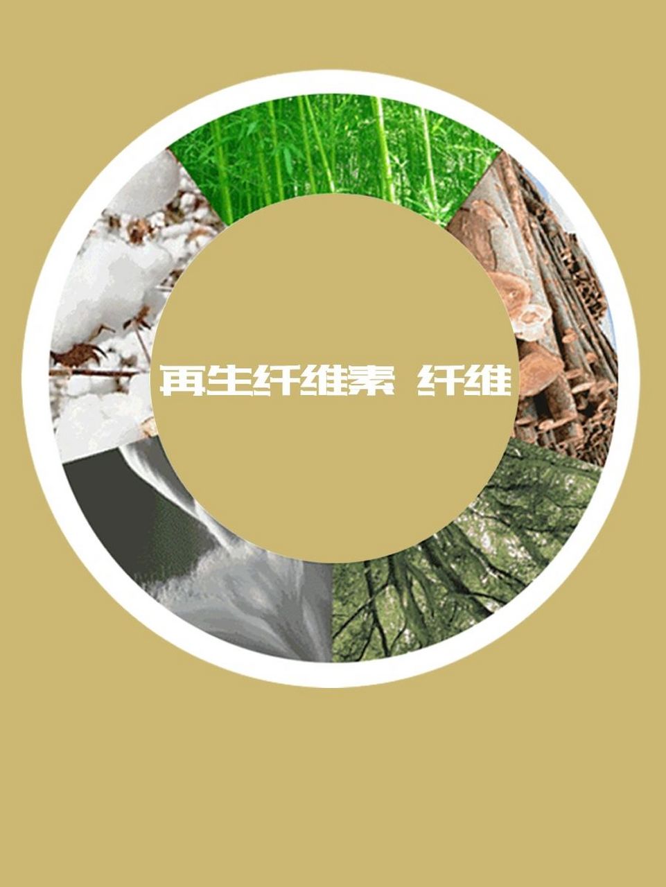 纯棉 vs 再生纤维素纤维 现如今,孩子贴身衣物面料更替日新月异 衣物