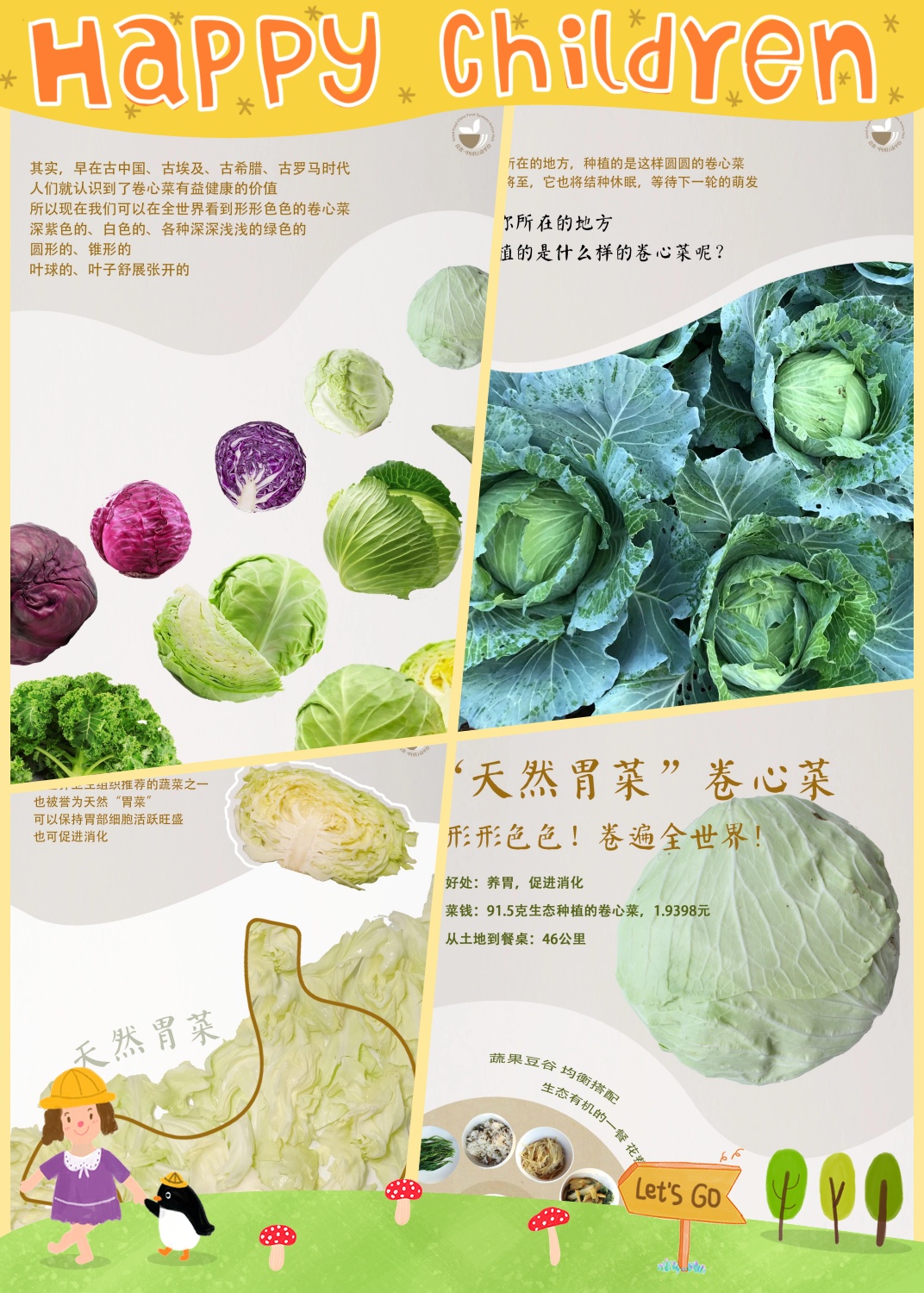 卷心菜,又称甘蓝,是世界卫生组织推荐的蔬菜之一,被誉为天然"胃菜"