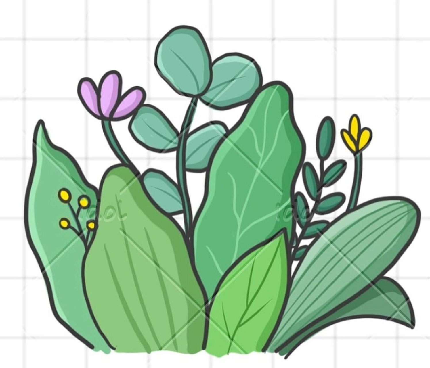 绿色植物简笔画 简易图片