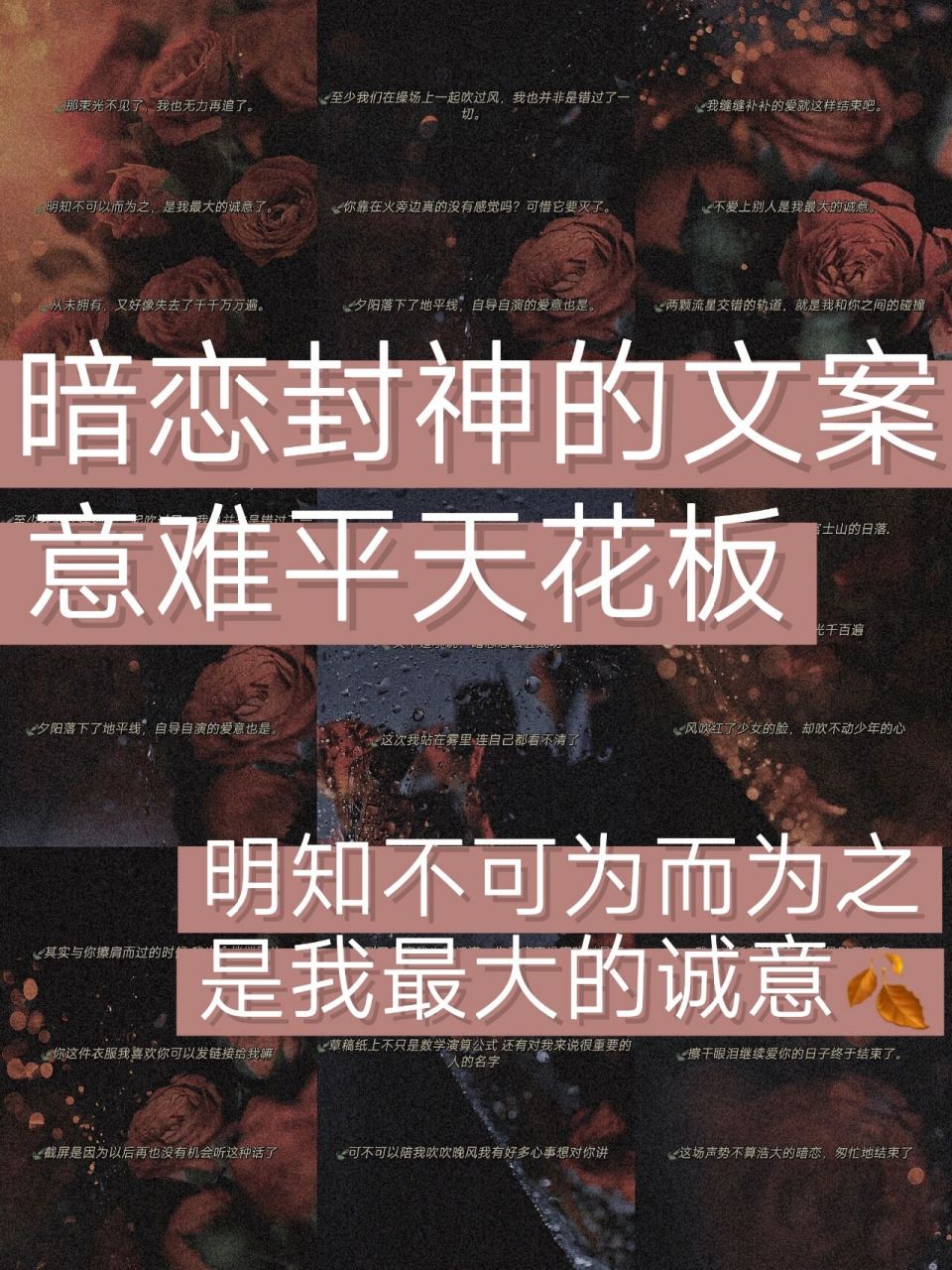 不爱上别人是我最大的诚意.