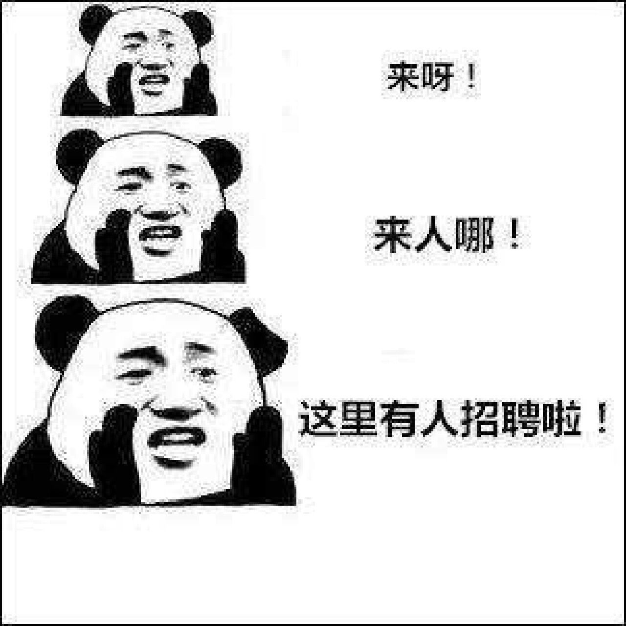 hr专属表情包|朋友圈招聘配图 没想到吧!