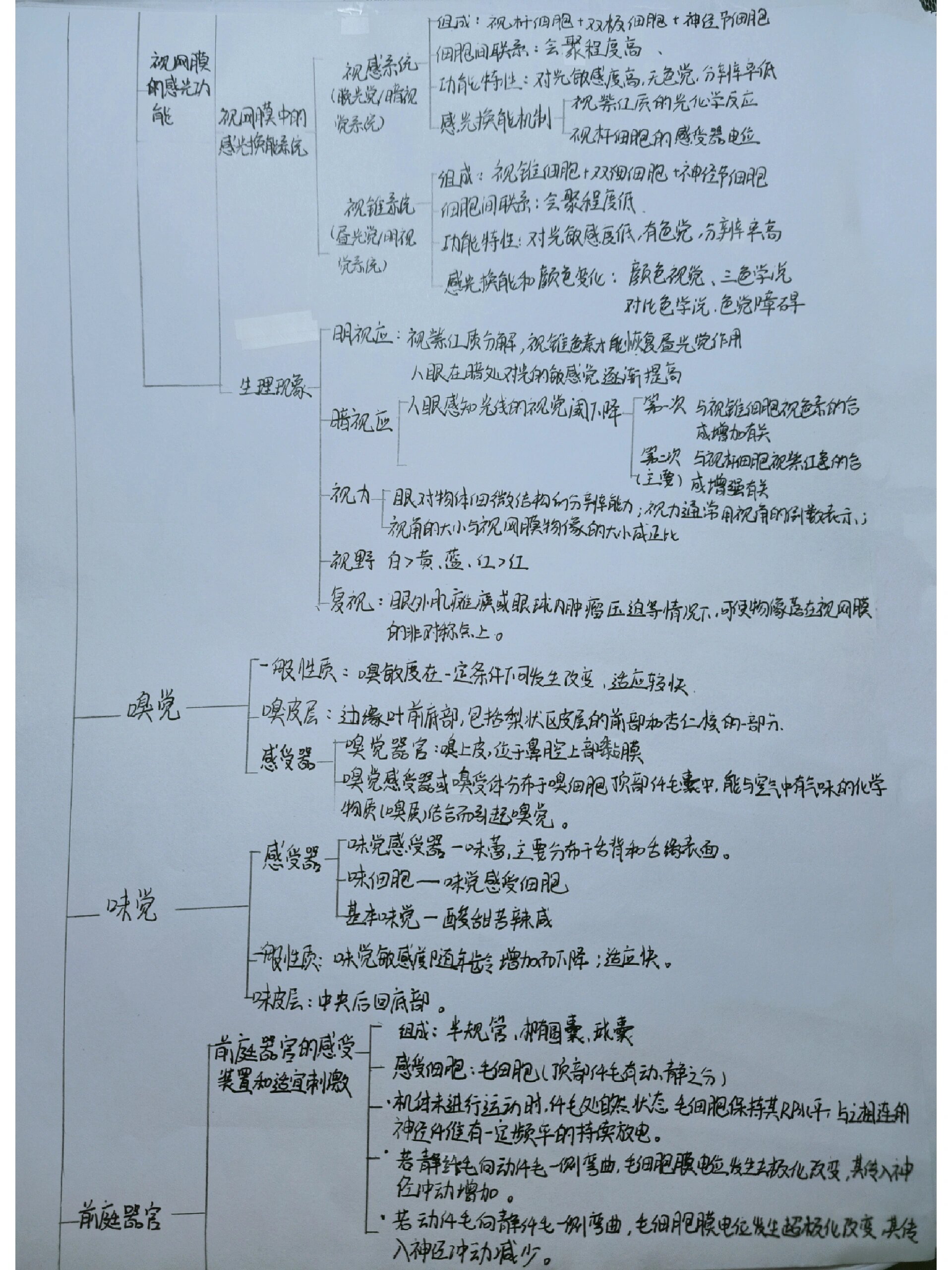 生理学思维导图——感觉器官