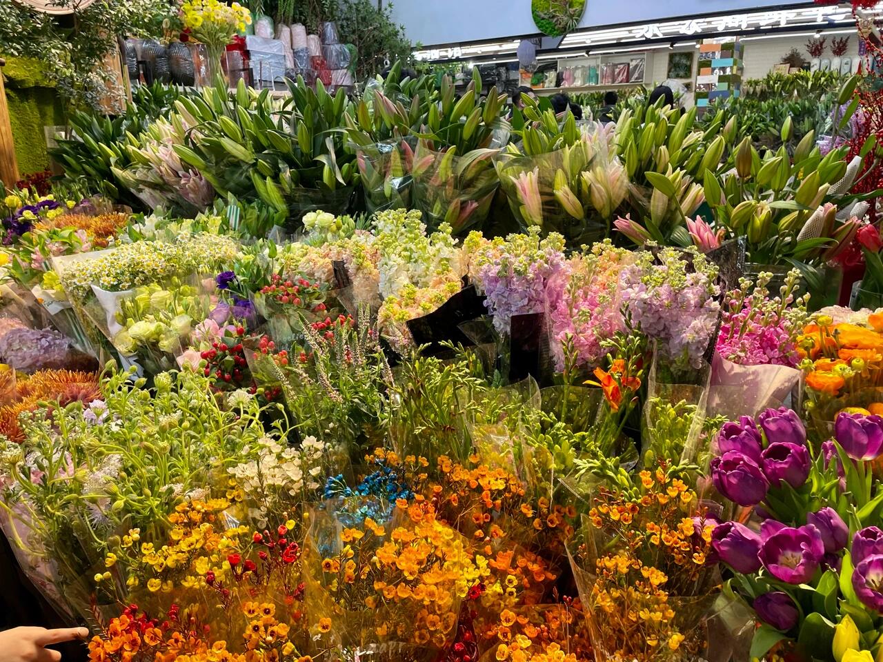 长春|过年必逛【最美花市】青怡坊98