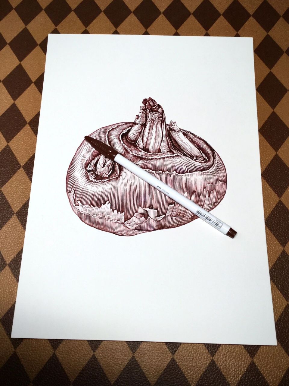 【钢笔画插画】荸荠            素材来源: 	 画的大就是爽就是画着指