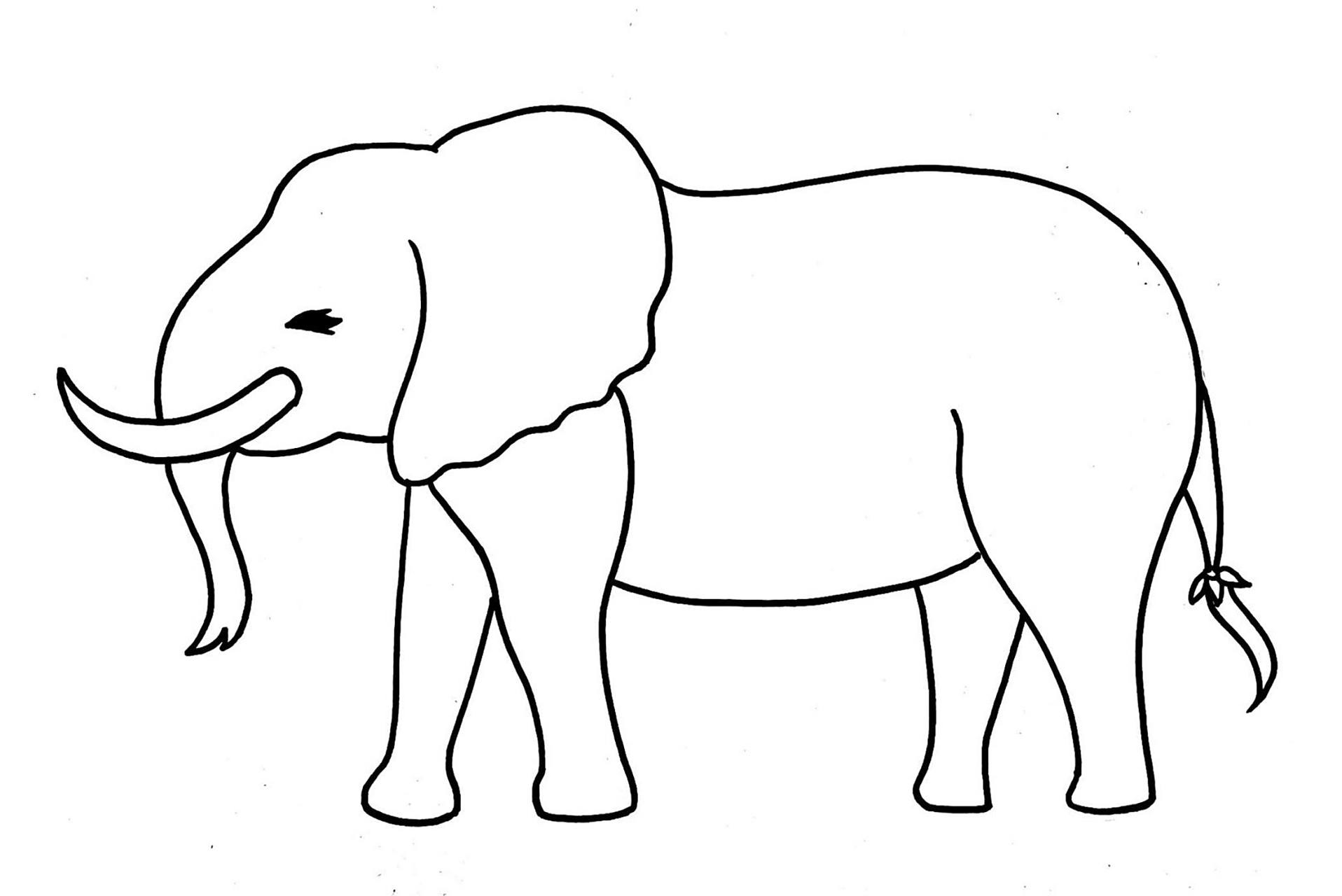 有详细步骤哦 往里面滑 #绘画# #黑白装饰画# #线描# #装饰画# #大象