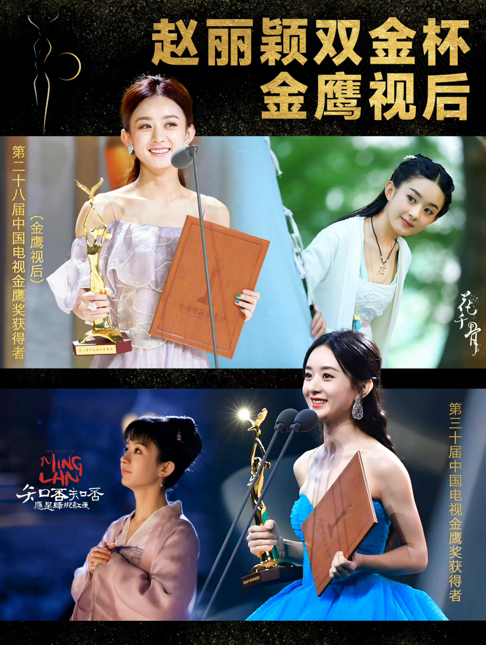 赵丽颖7015内地电视剧三大奖一览 【白玉兰奖】 2016年凭借